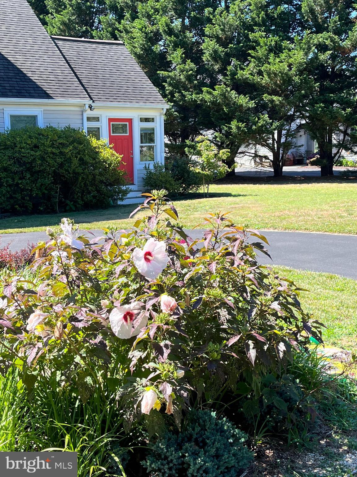 ROLLING MEADOWS - Residential