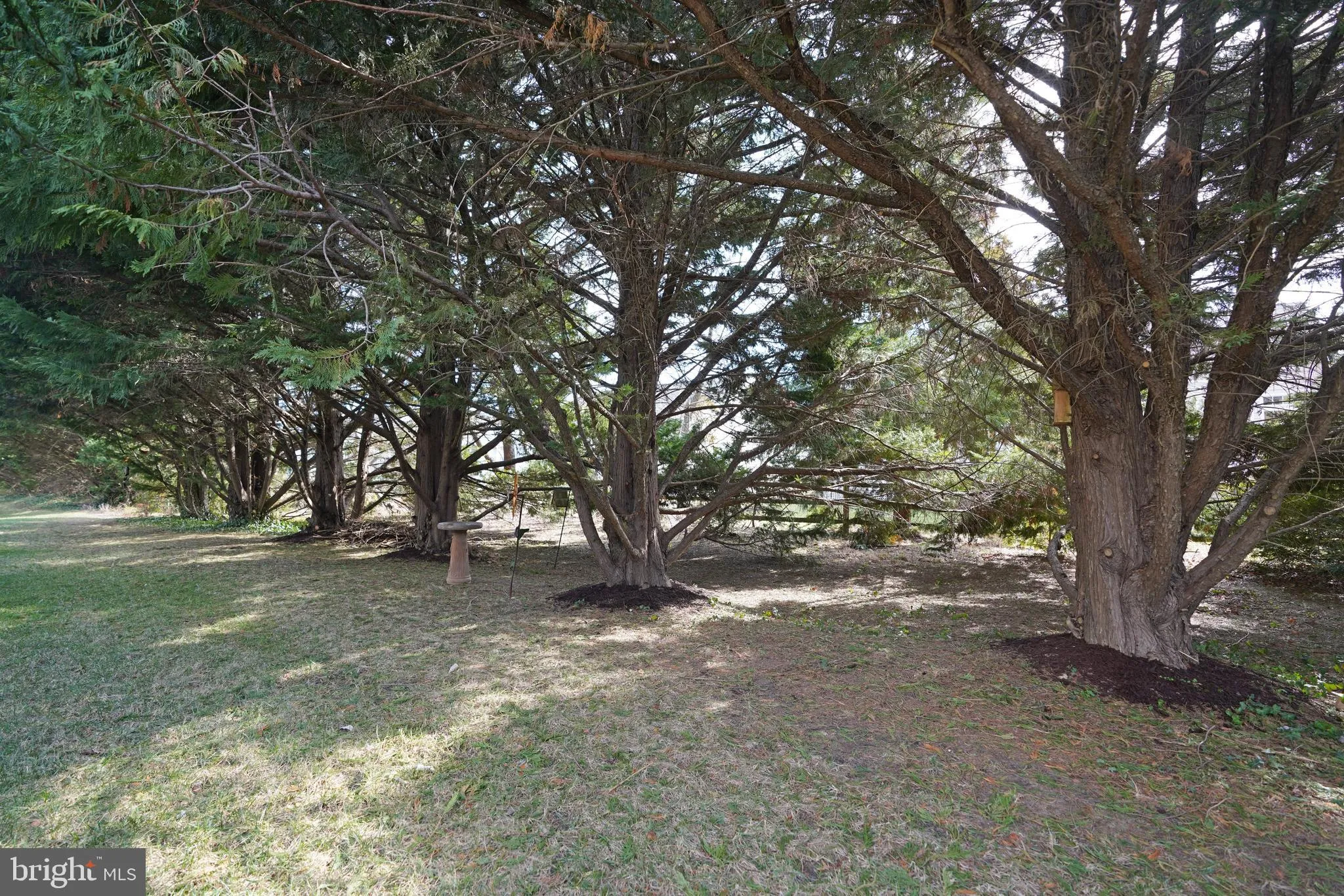 Rehoboth Beach, Delaware 19971, United States, 4 Bedrooms Bedrooms, ,4 BathroomsBathrooms,Residential,Active,77276