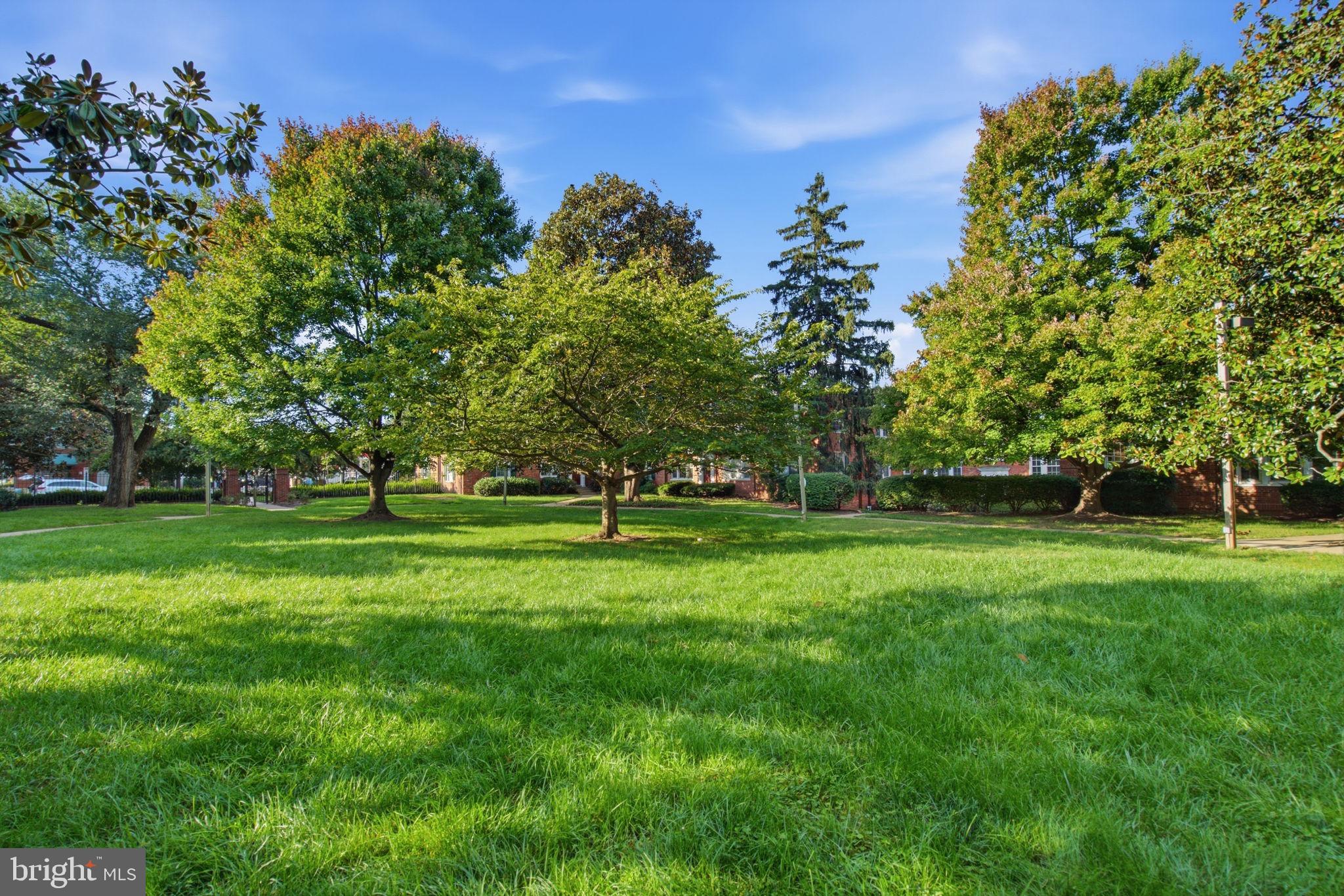 1728 N QUEENS LANE 3-181