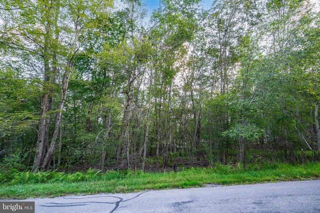 Photo of 6 Orono Drive, POCONO LAKE, PA 18347 (MLS # PAMR2005586)