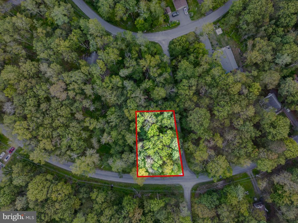 Photo of 6 Orono Drive, POCONO LAKE, PA 18347 (MLS # PAMR2005586)