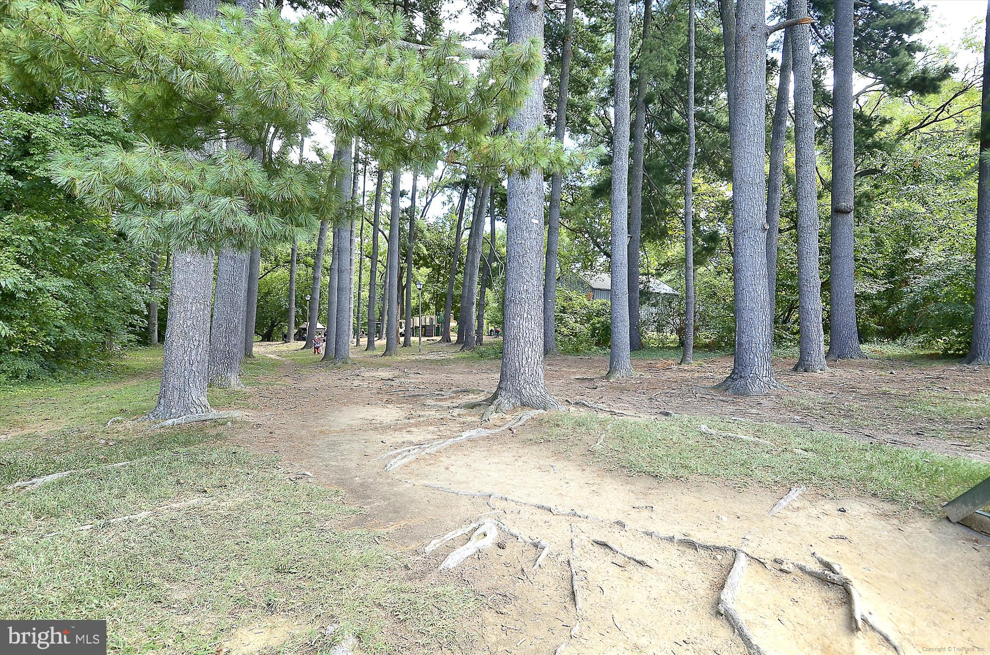 BERKSHIRE OAKWOOD - Residential