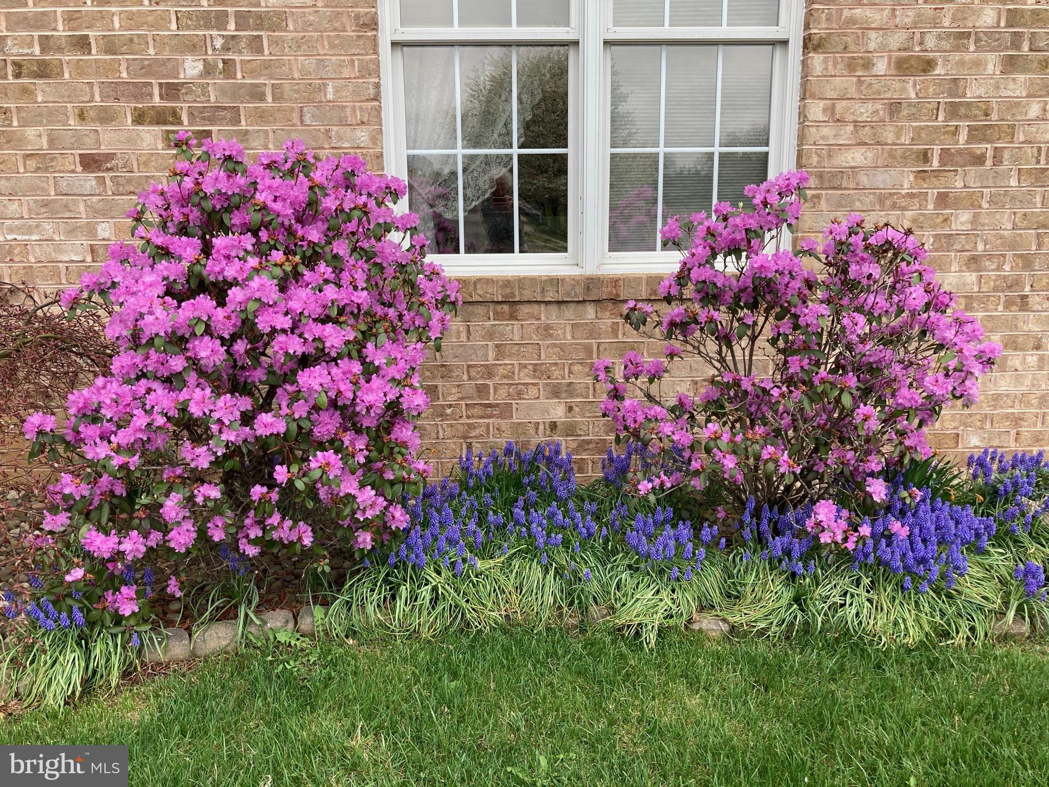 GREENWICH PARK - Residential