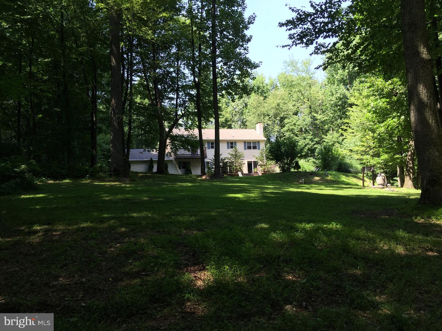ANGELICA WOODS - Residential