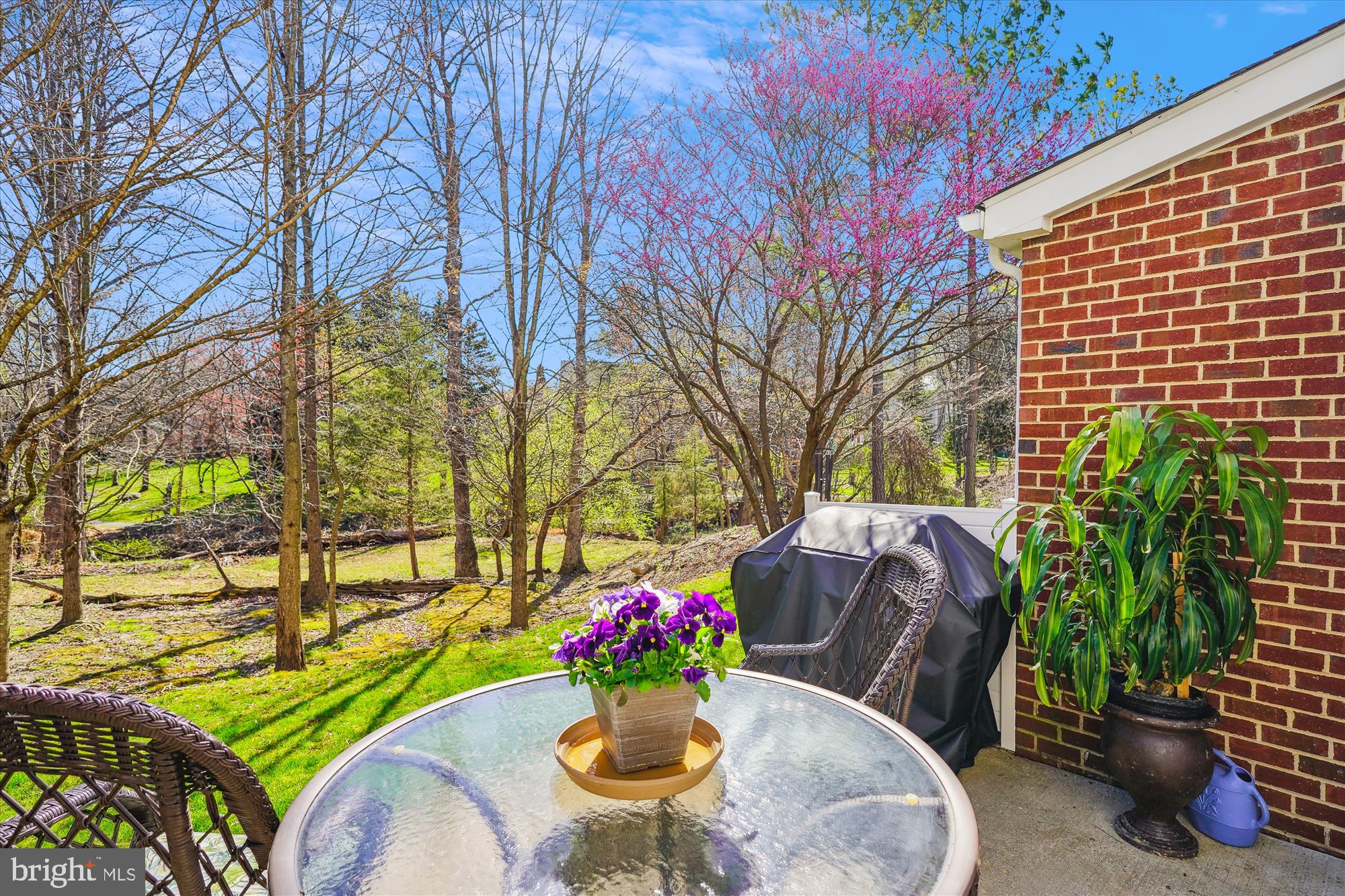 NORTH POTOMAC VILLAGE - Residential