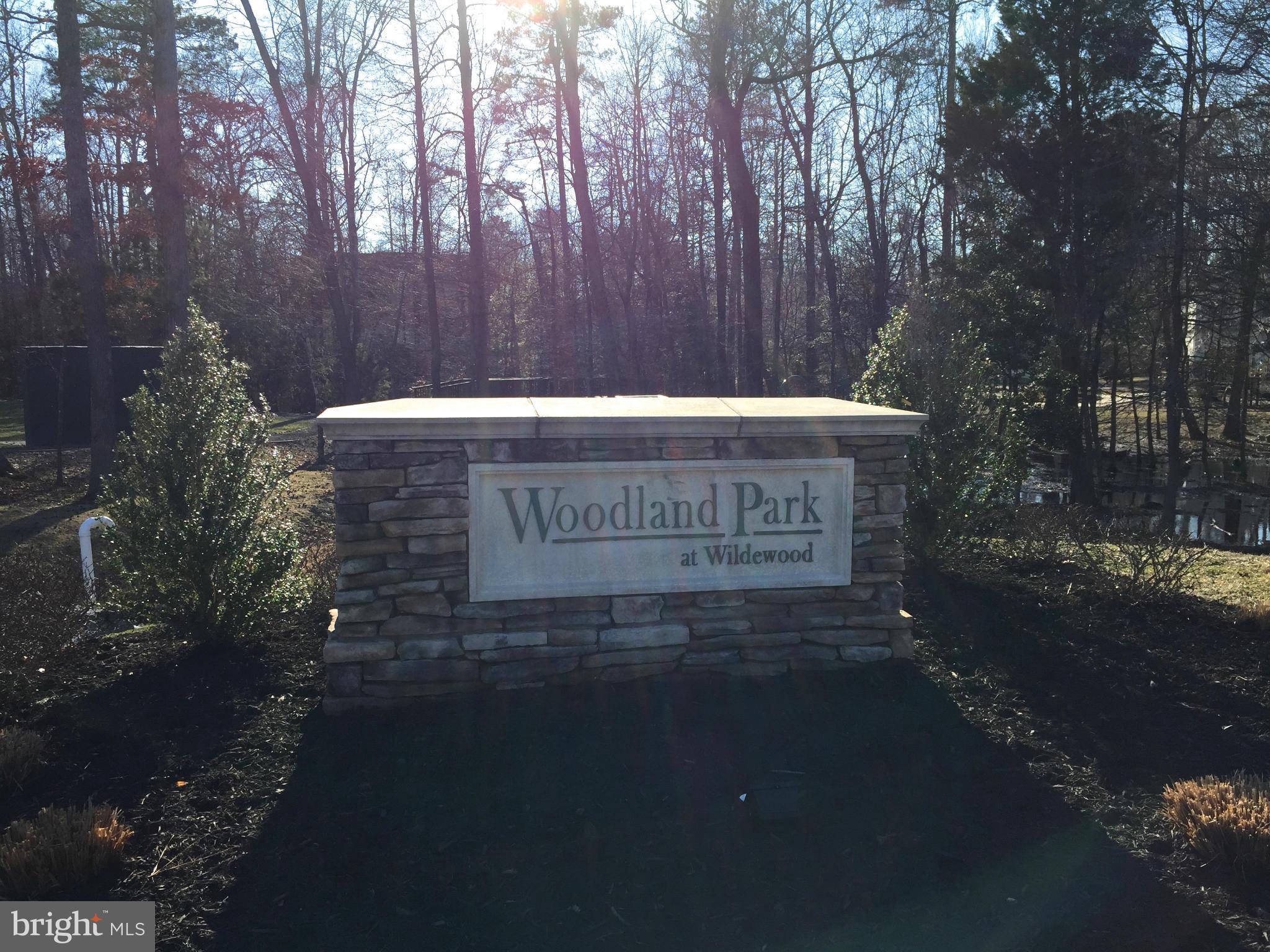 WOODLAND PK AT WILDEWOOD - Residential