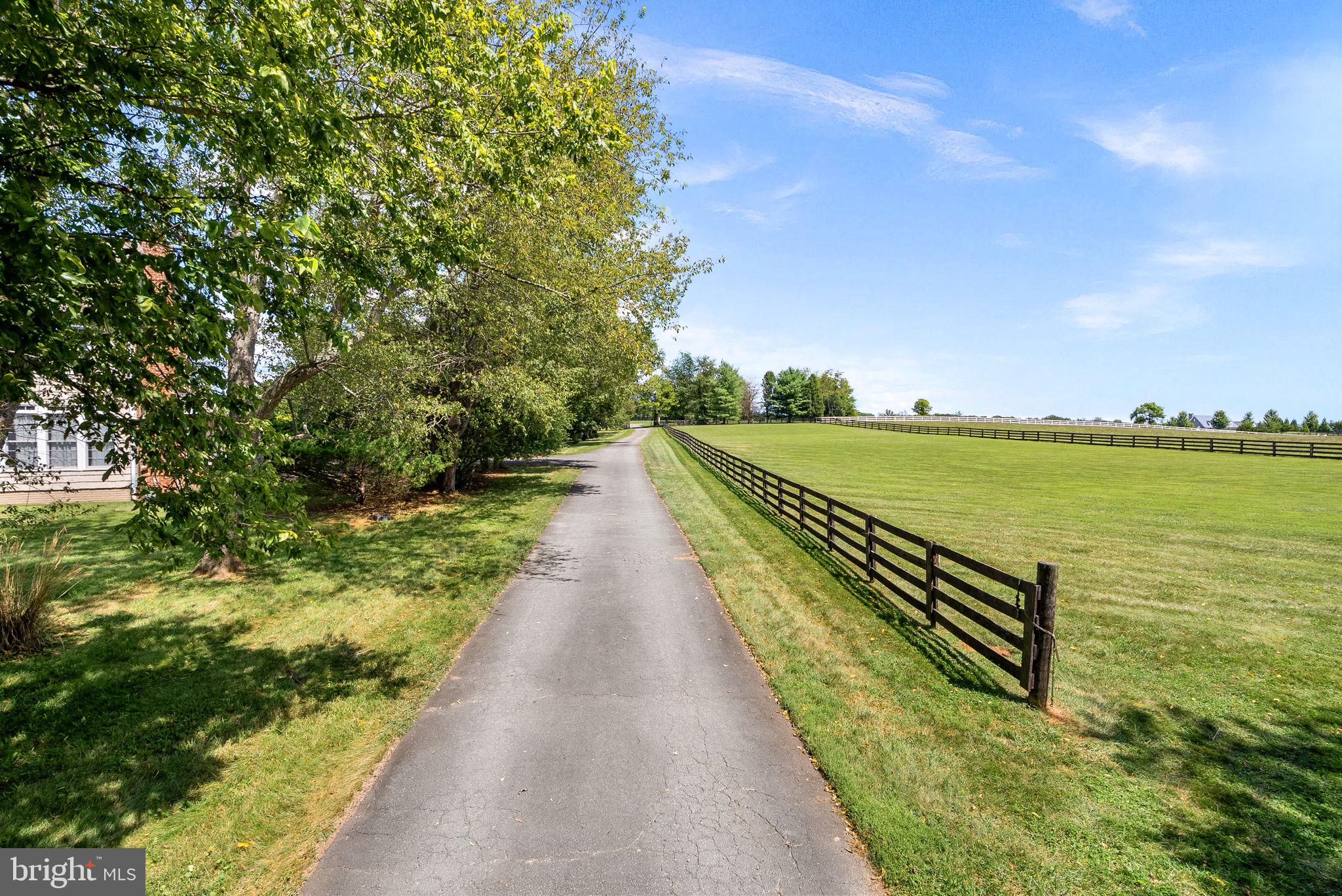 RED CEDAR - Residential
