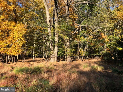 Photo for 0 LONELY COTTAGE ROAD