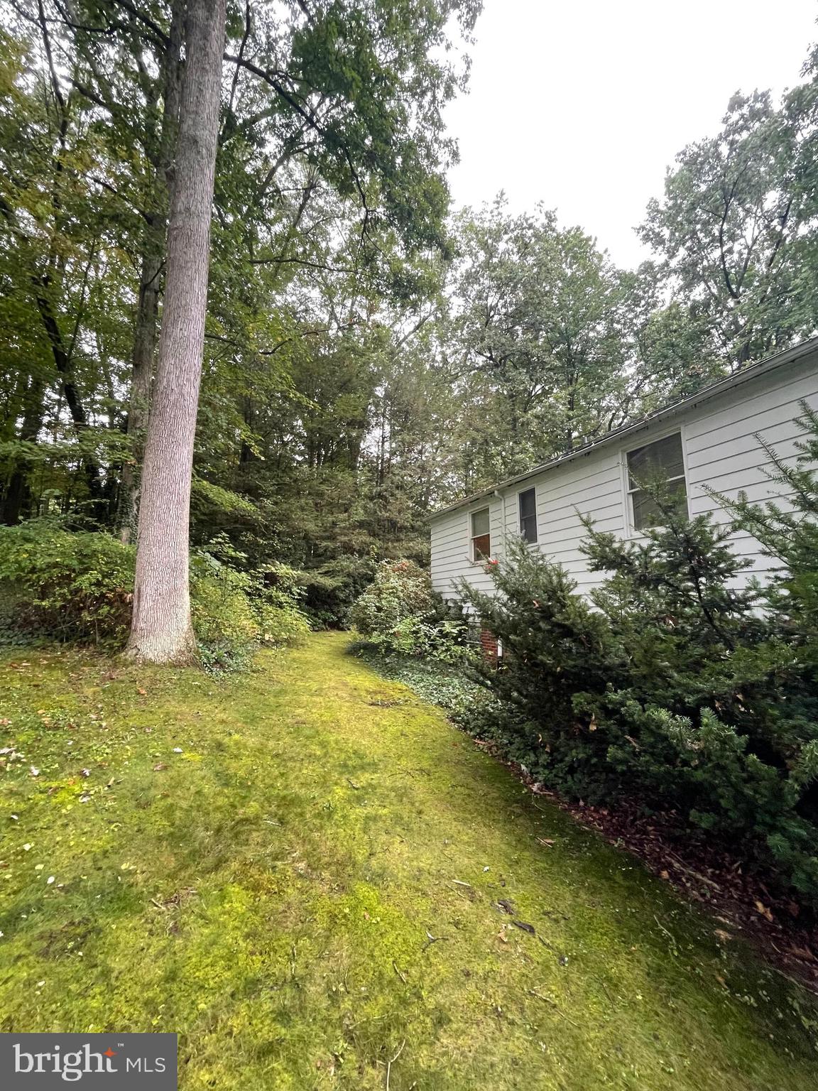 PARK FOREST VILLAGE - Residential