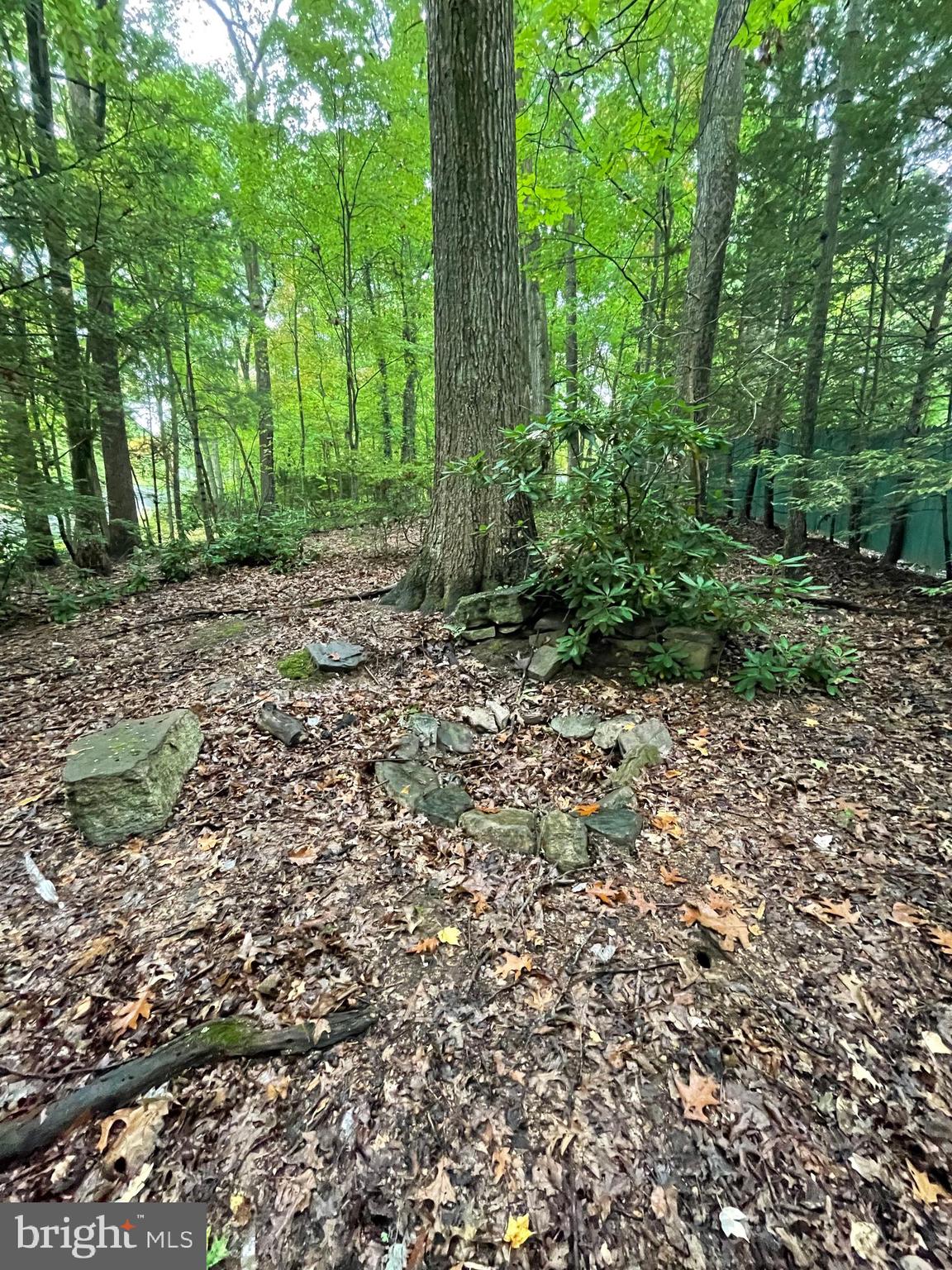 PARK FOREST VILLAGE - Residential