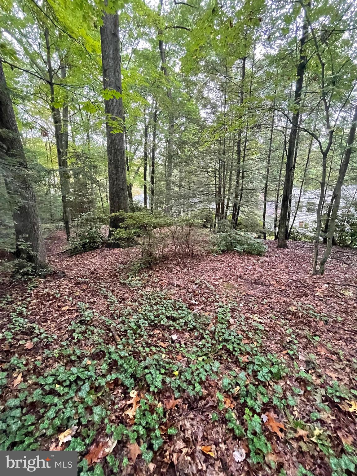 PARK FOREST VILLAGE - Residential