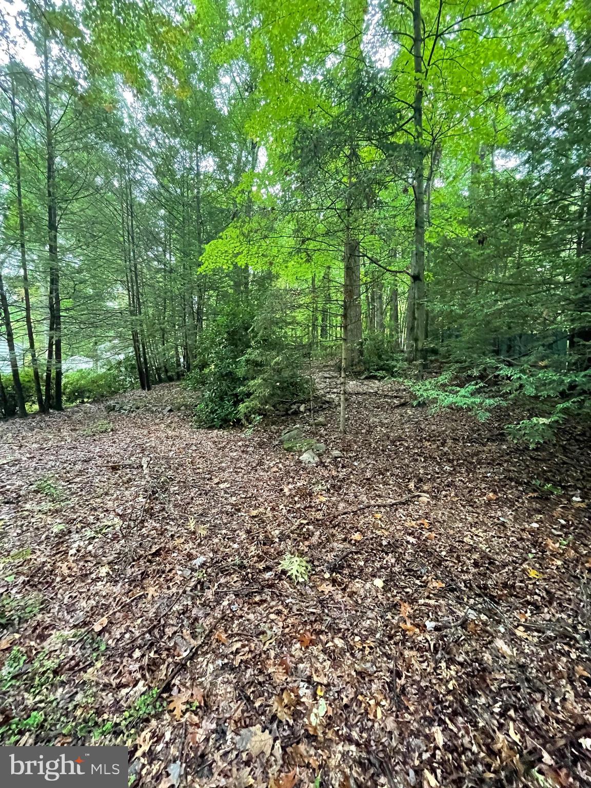 PARK FOREST VILLAGE - Residential