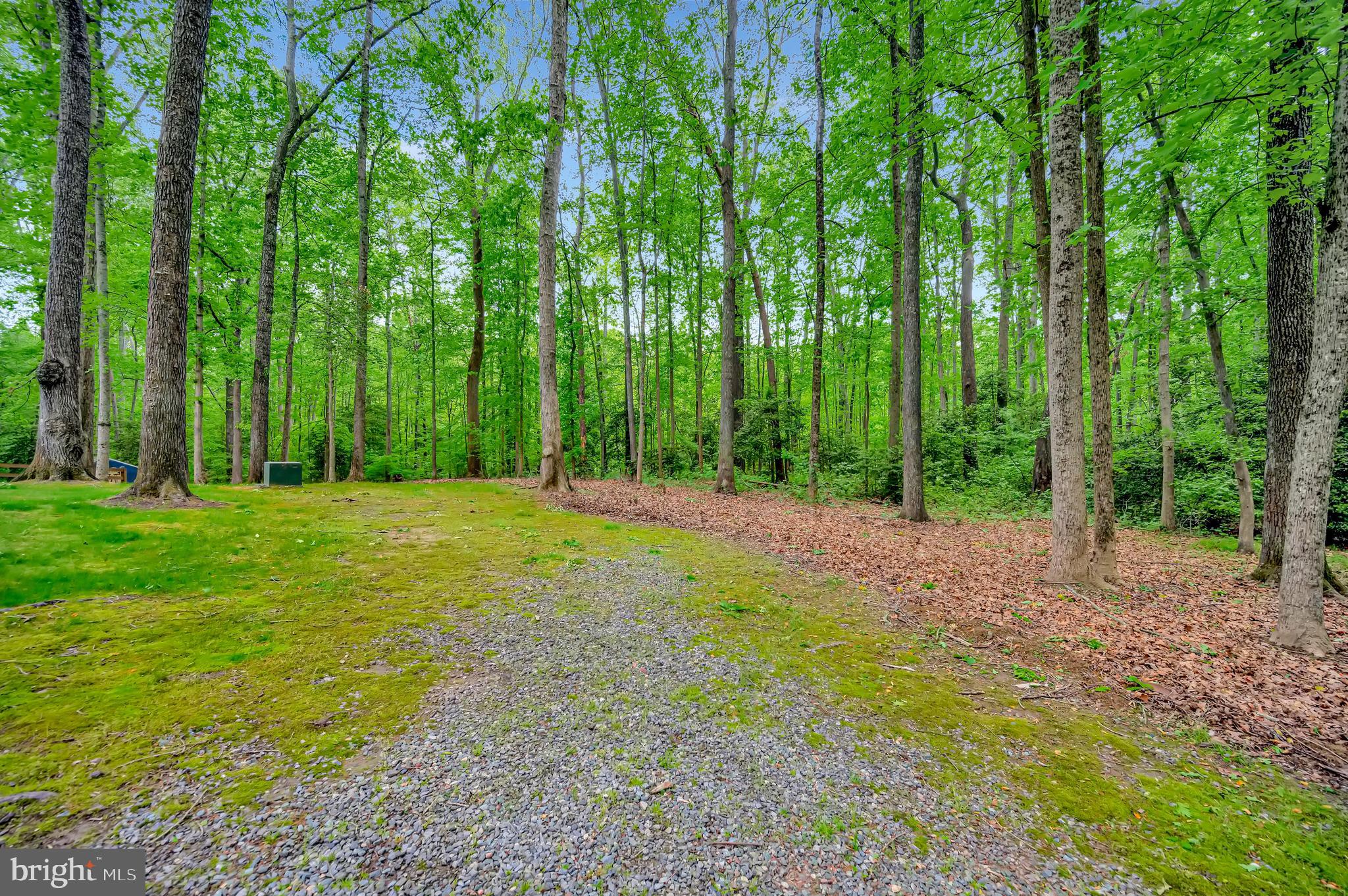 PINEY BRANCH - Residential