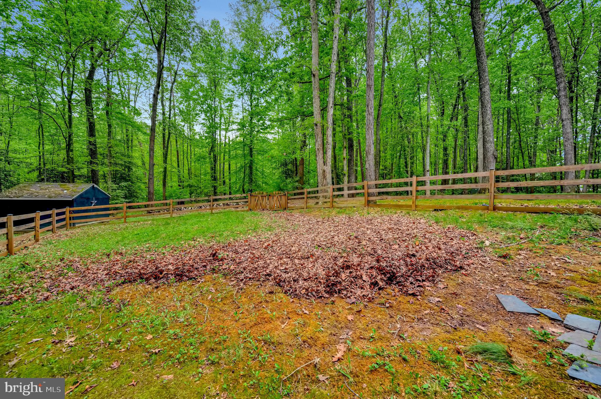 PINEY BRANCH - Residential