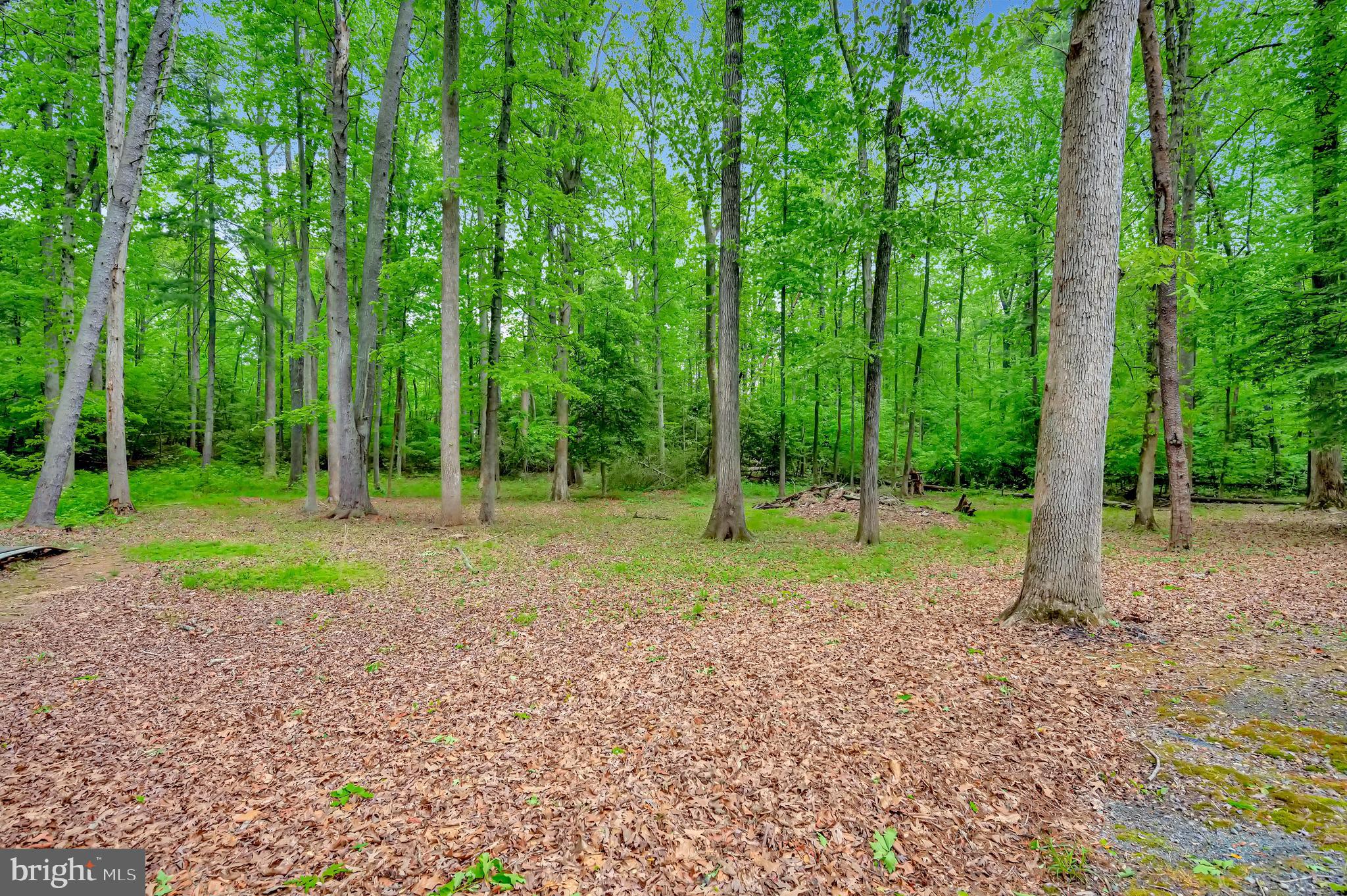 PINEY BRANCH - Residential