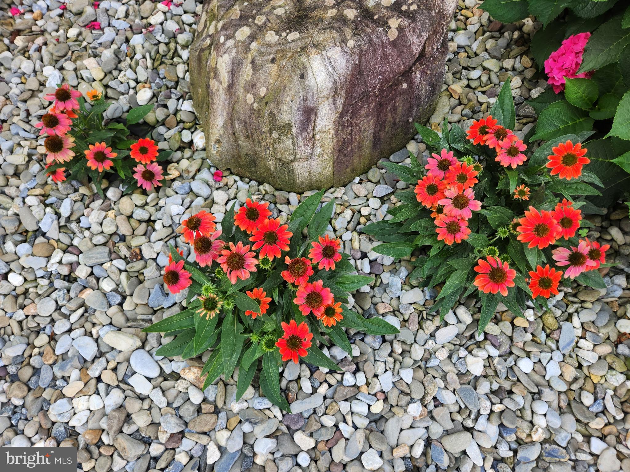 SPRING RUN ESTATES - Residential