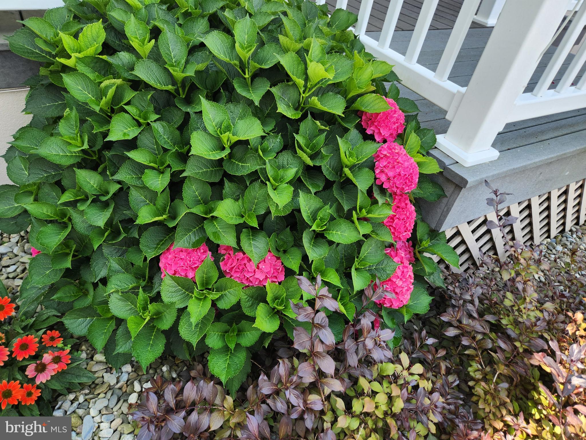 SPRING RUN ESTATES - Residential