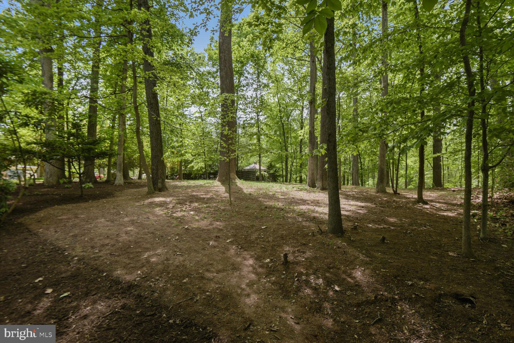 LAKE BARCROFT - Residential