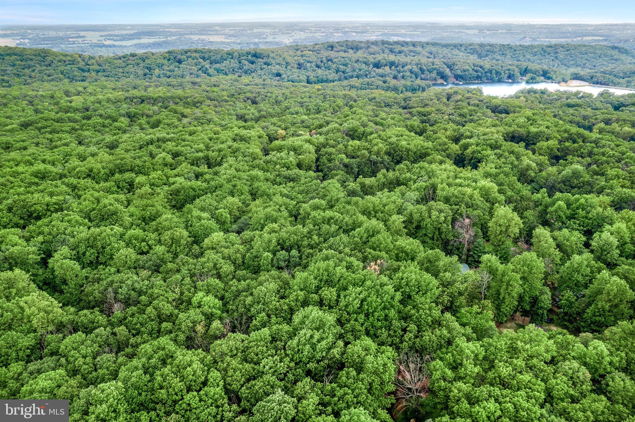 SHANNONDALE - Residential