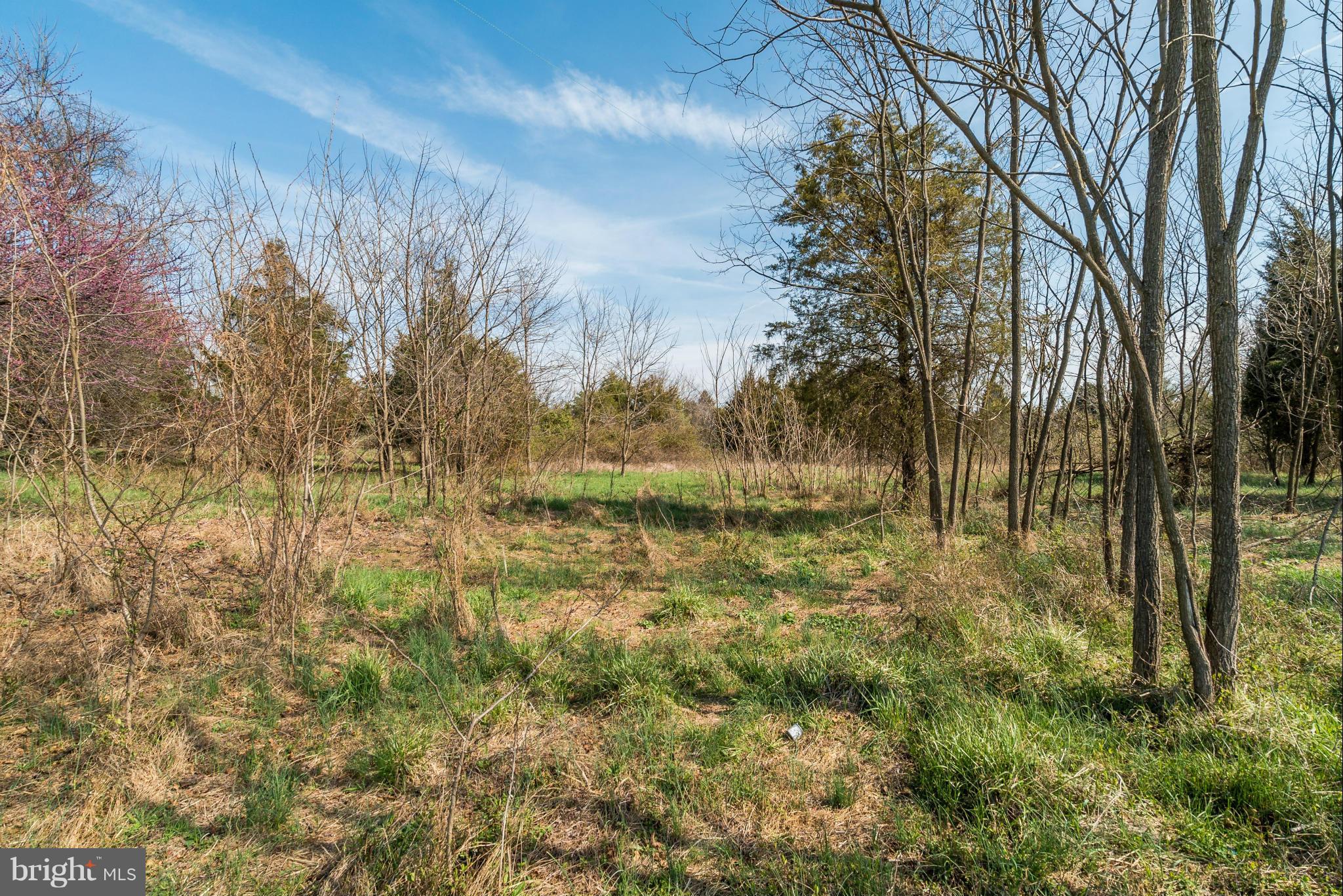 NONE AVAILABLE - Land