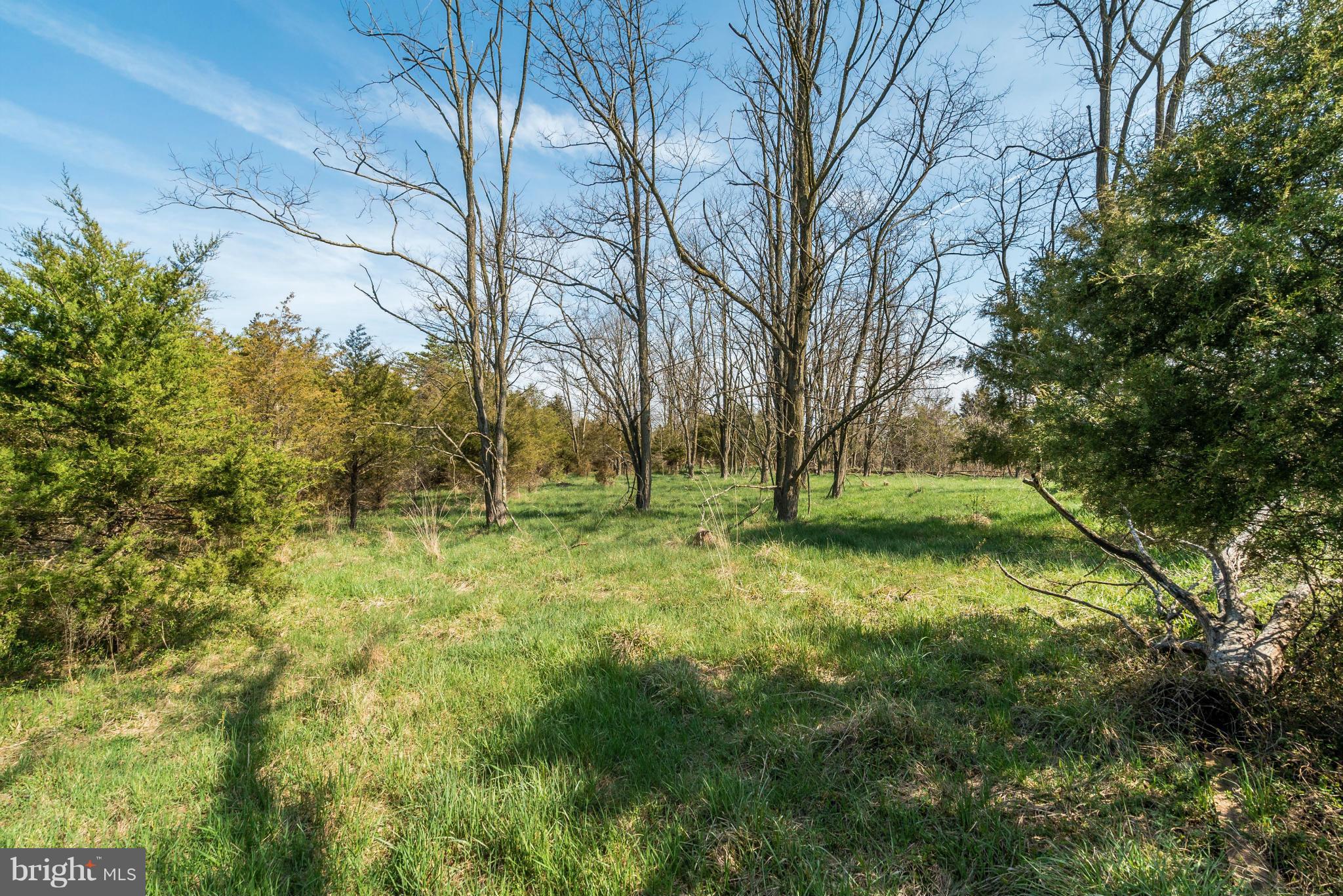 NONE AVAILABLE - Land