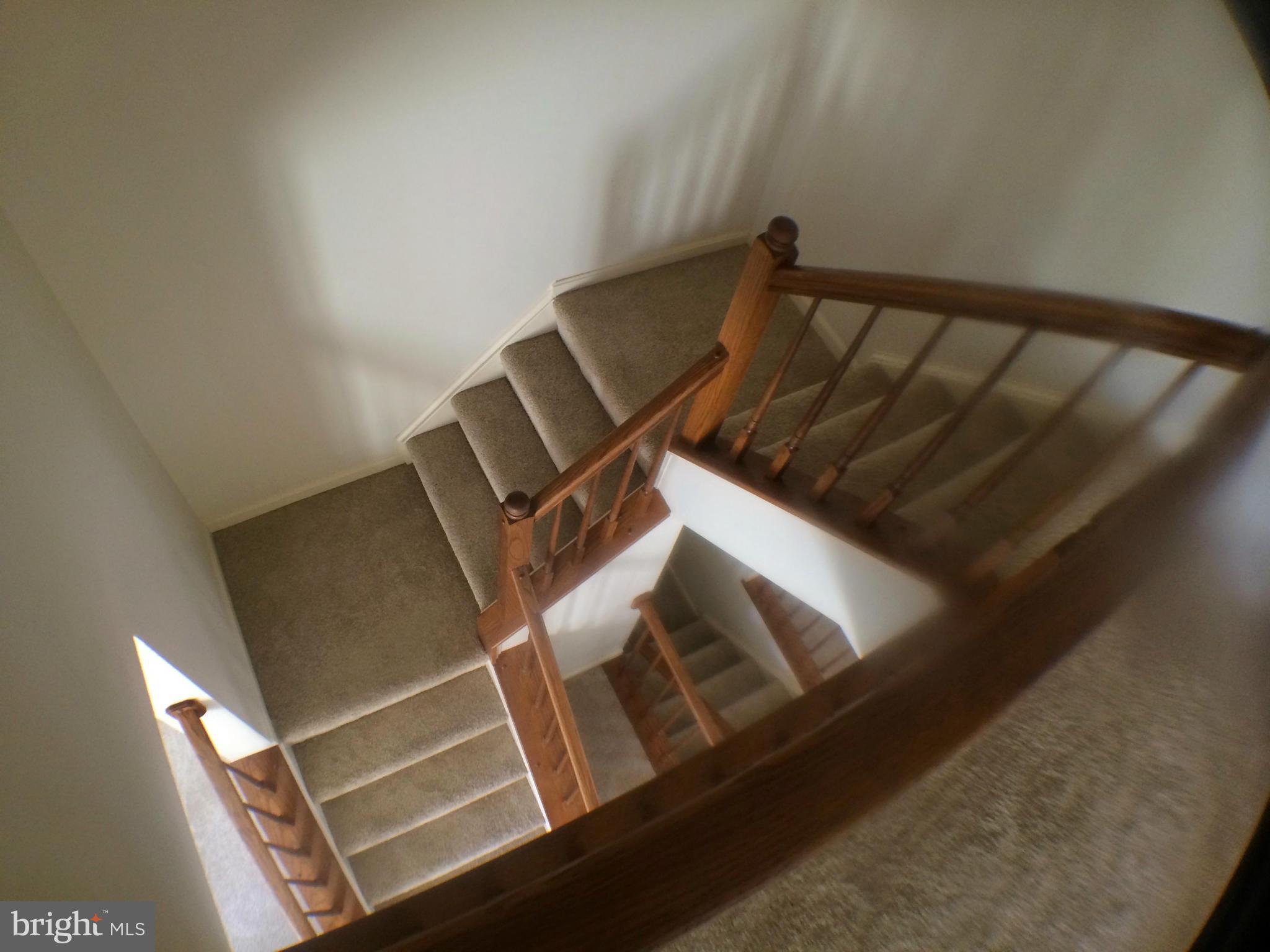 TAVISTOCK FARMS - Residential Lease