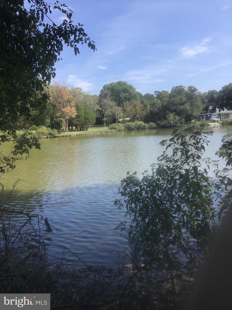 Price reduced, bring offers! Wooded,  quiet waterfront property on desirable Carrs Creek. Bring your plans and build your dream home!