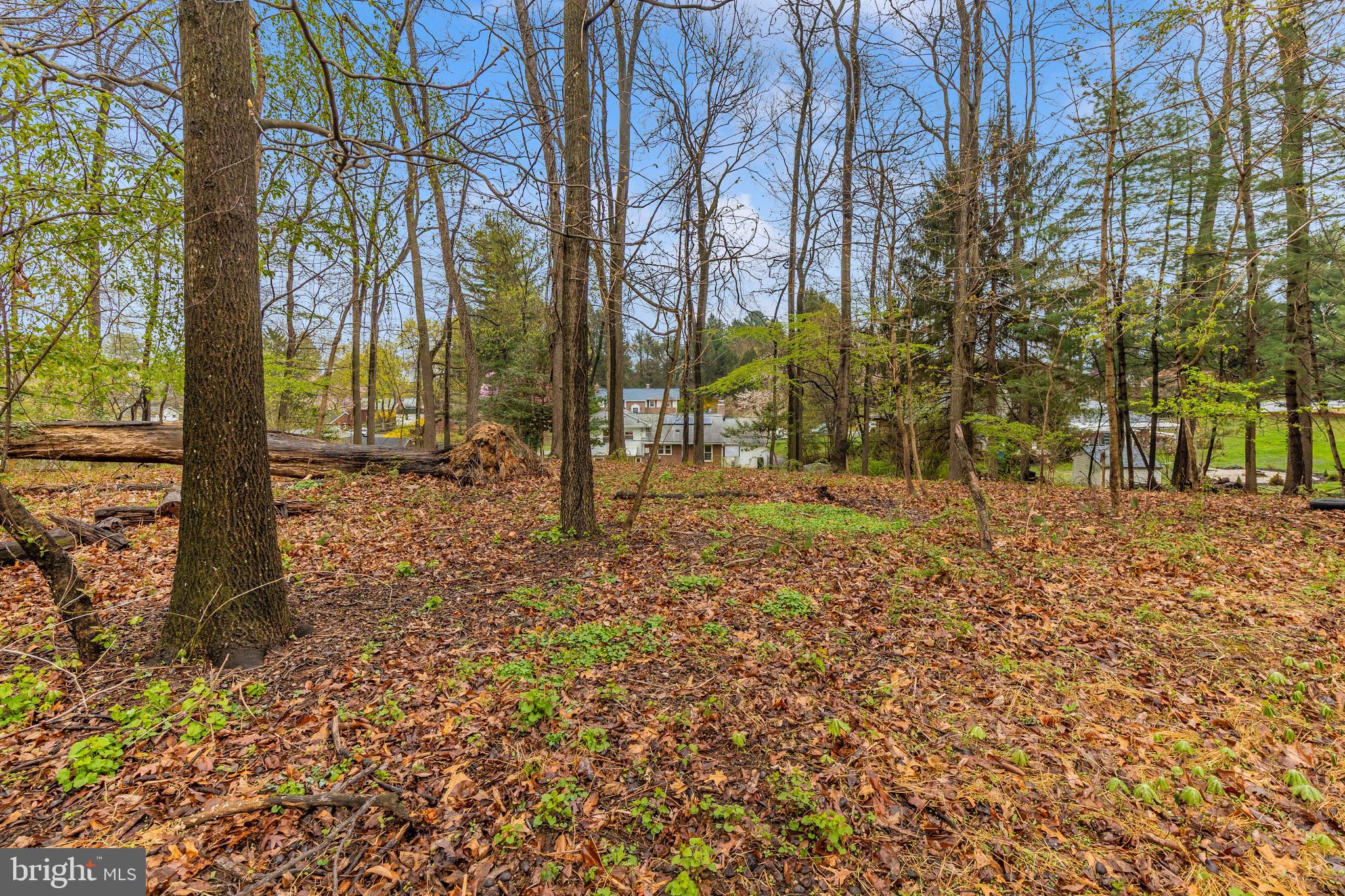 6510 PANORAMA DRIVE