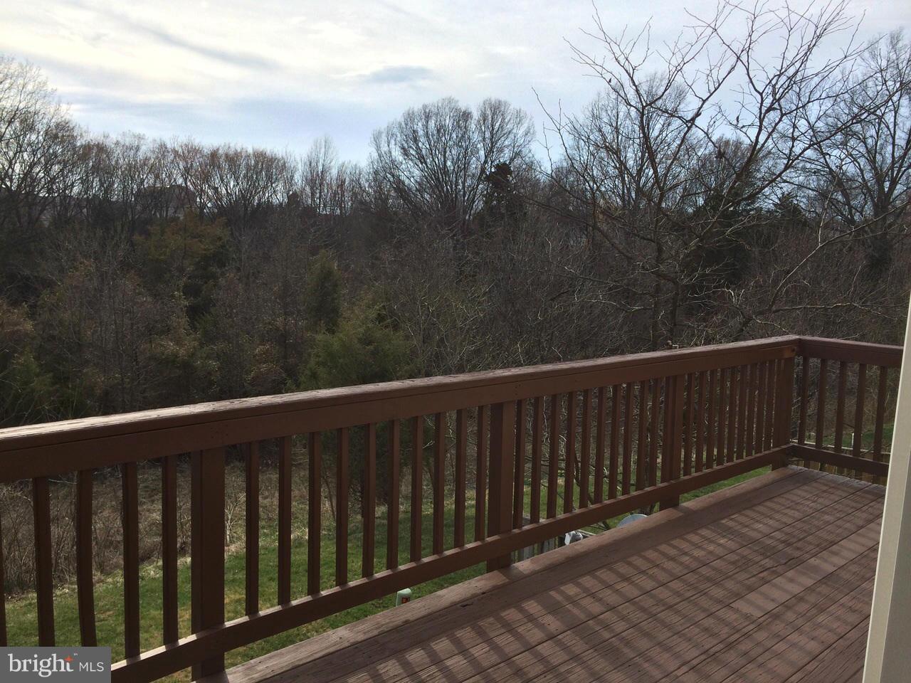 POTOMAC LAKES - Residential Lease