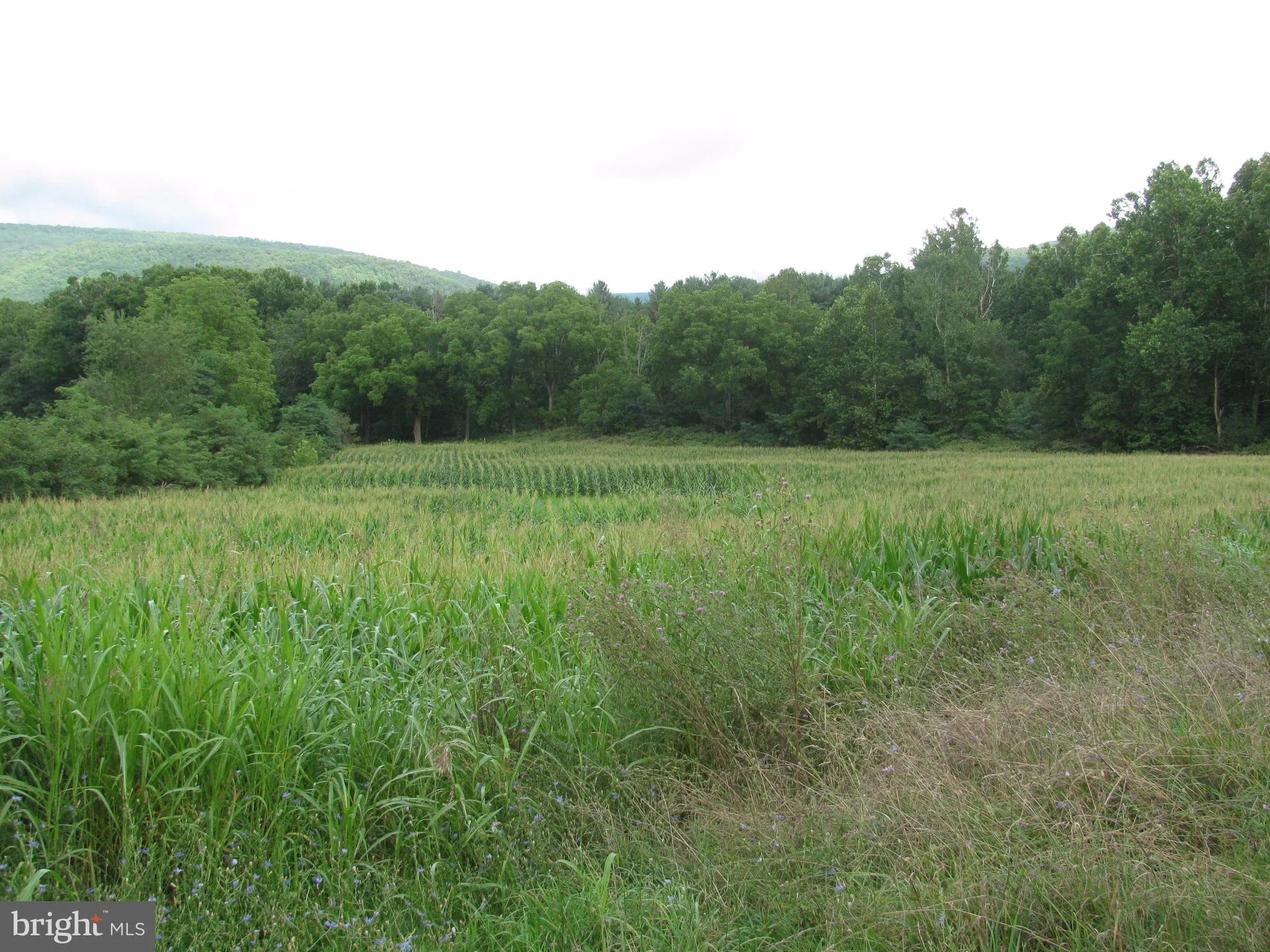 Additional image 2 of Route 259 Highway, Mathias, WV 26812