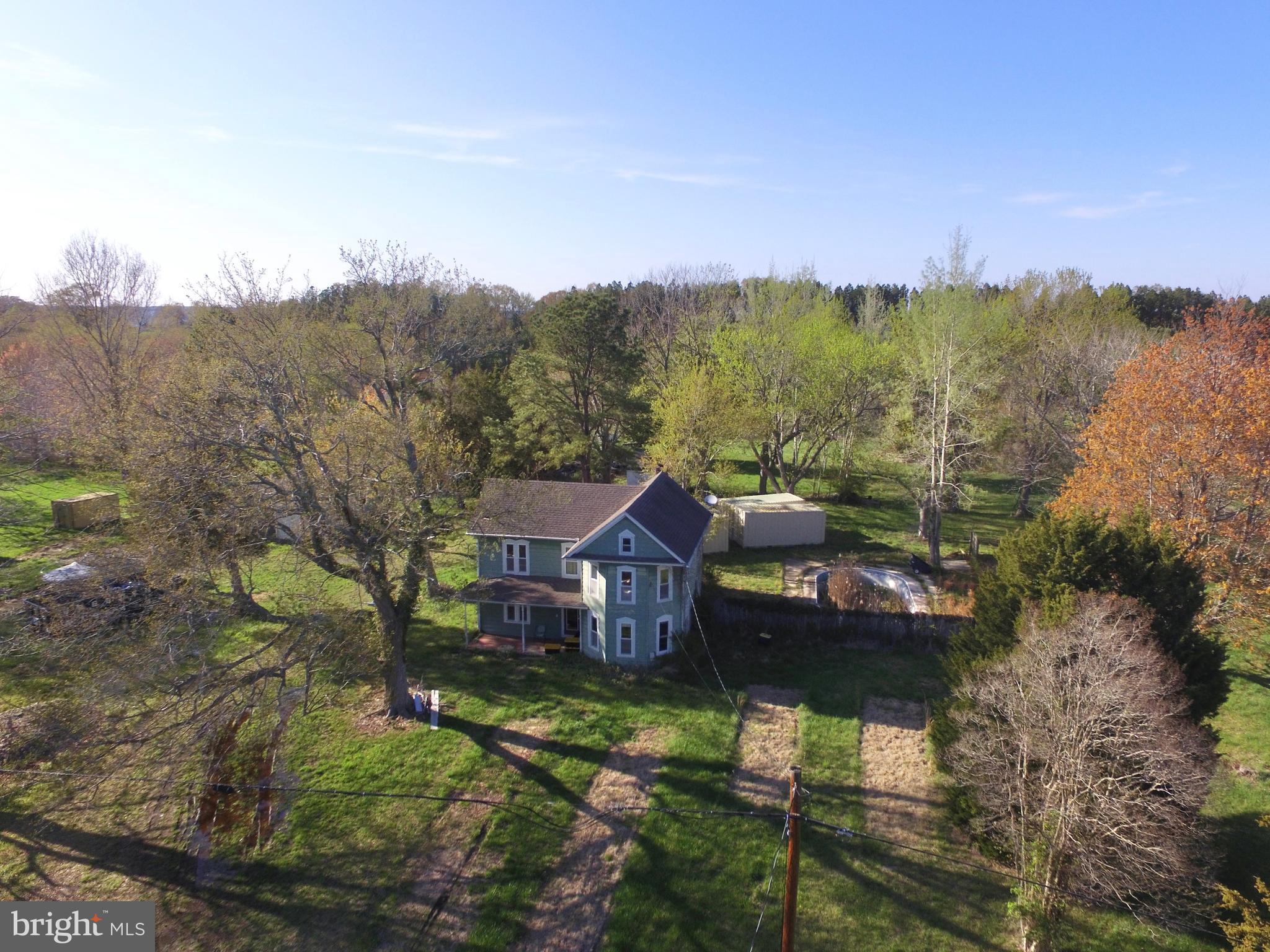 9638 TILGHMAN ISLAND ROAD