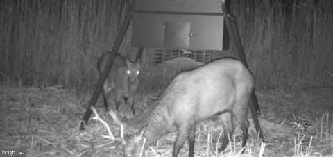 3241 ROBBINS ROAD CRAPO MD 21626