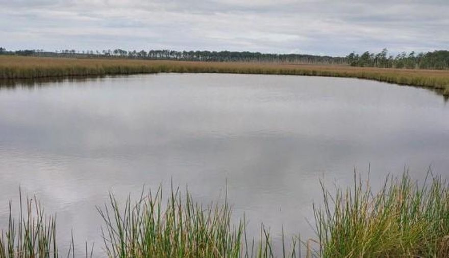 Attention hunters – This unique hunting property, along with an existing church, has the potential to be your dream hunting lodge. This remarkable estate offers a rare opportunity to own your hunting camp in the heart of nature's bounty, bordered on the southern property line by Fishing Bay Wildlife Sanctuary. The property's key feature is its ideal location, nestled in the serene surroundings of Crapo, MD, offering a tranquil escape from the hustle and bustle of modern life. While conveniently close to modern metro centers, it's ideally situated amid some of the best hunting and fishing grounds on the East Coast. The property boasts an existing church that opens up exciting possibilities. Transform it into your hunting lodge, creating a unique and atmospheric retreat for you and your friends. For hunting enthusiasts, this property is a haven for Sika deer and waterfowl. The property is expertly set up for duck hunting and features a long boardwalk that takes you to the duck pond and duck blind in the center of the marsh. And a convenient location in the pines with a deer stand and feeder. Immerse yourself in the natural beauty and abundance of wildlife that surrounds you, creating an unparalleled hunting experience. Take advantage of this rare opportunity to own an affordable piece of paradise. Whether you're a seasoned hunter or looking to establish a nature retreat, this property offers a cost-effective way to make your dreams a reality. This is more than just a property; it's an invitation to immerse yourself in the great outdoors, create lasting memories, and build a unique haven for hunting and relaxation. You can use the opportunity to make 3241 Robbins Rd your private retreat in the heart of nature's wonders. The property consists of two lots. Church: 0.519 acres (See the attached survey plat in documents). The more considerable lot: the tax map indicates 15 acres; however, the survey documents indicate 34.5 acres. (A survey performed by the former owner but not recorded is attached in the documents, indicating 34.5 acres are connected to the documents)