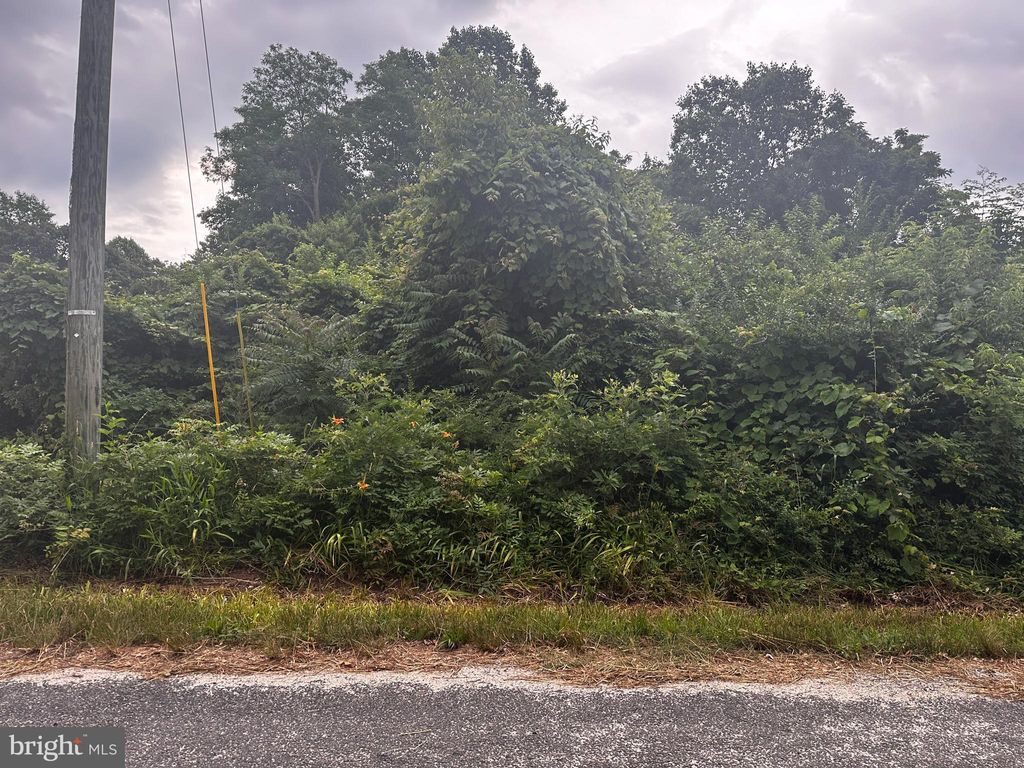 Photo of 721 Lewis Lane, HEATHSVILLE, VA 22473 (MLS # VANV2001784)