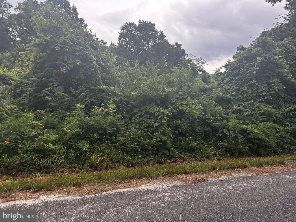 Photo of 721 Lewis Lane, HEATHSVILLE, VA 22473 (MLS # VANV2001784)