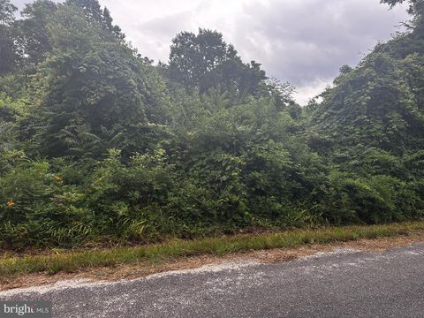 Vacant Land For Sale - 721 Lewis Lane<br/> HEATHSVILLE, VA 22473