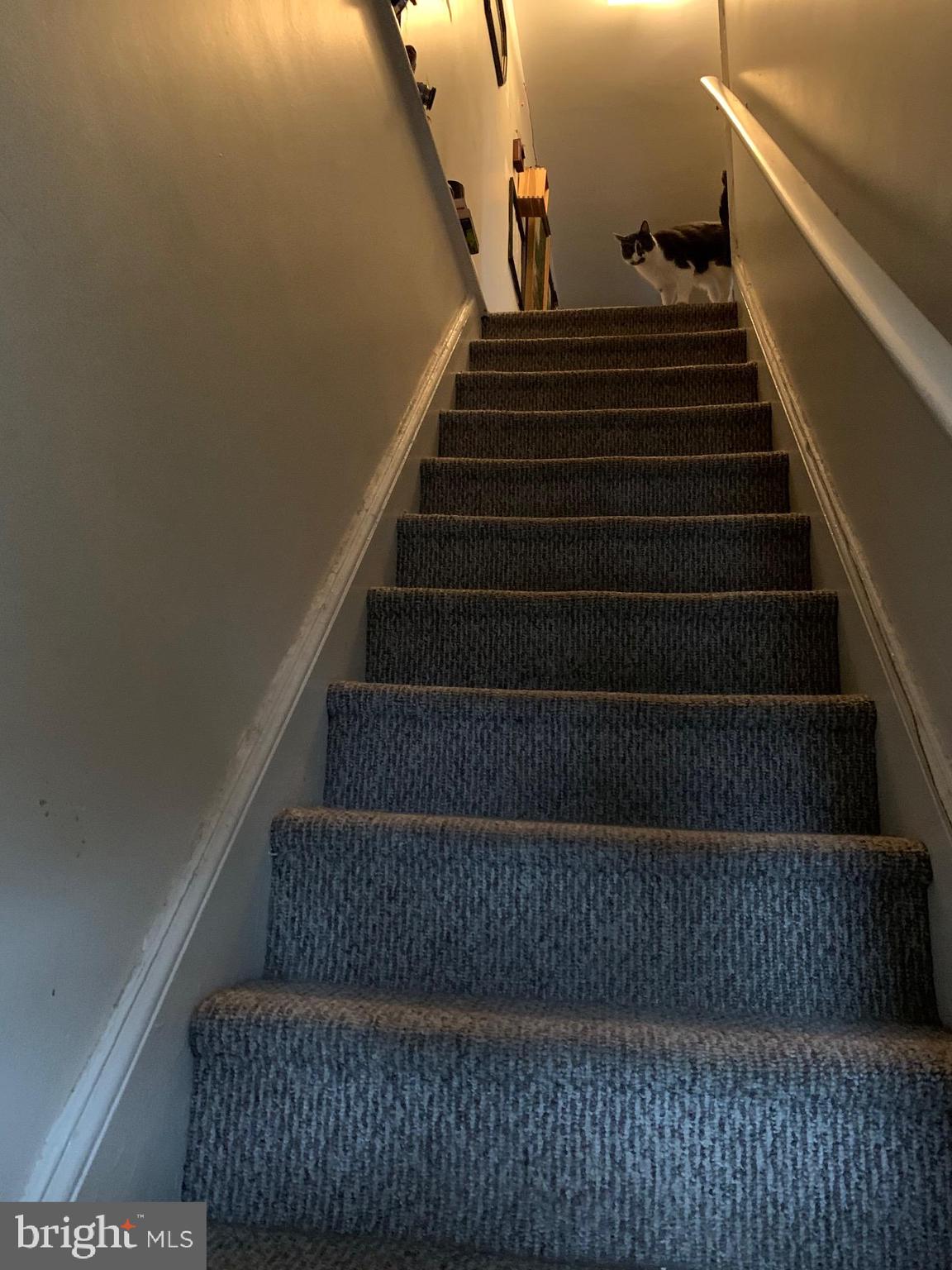NORTH HILLS - Residential Lease