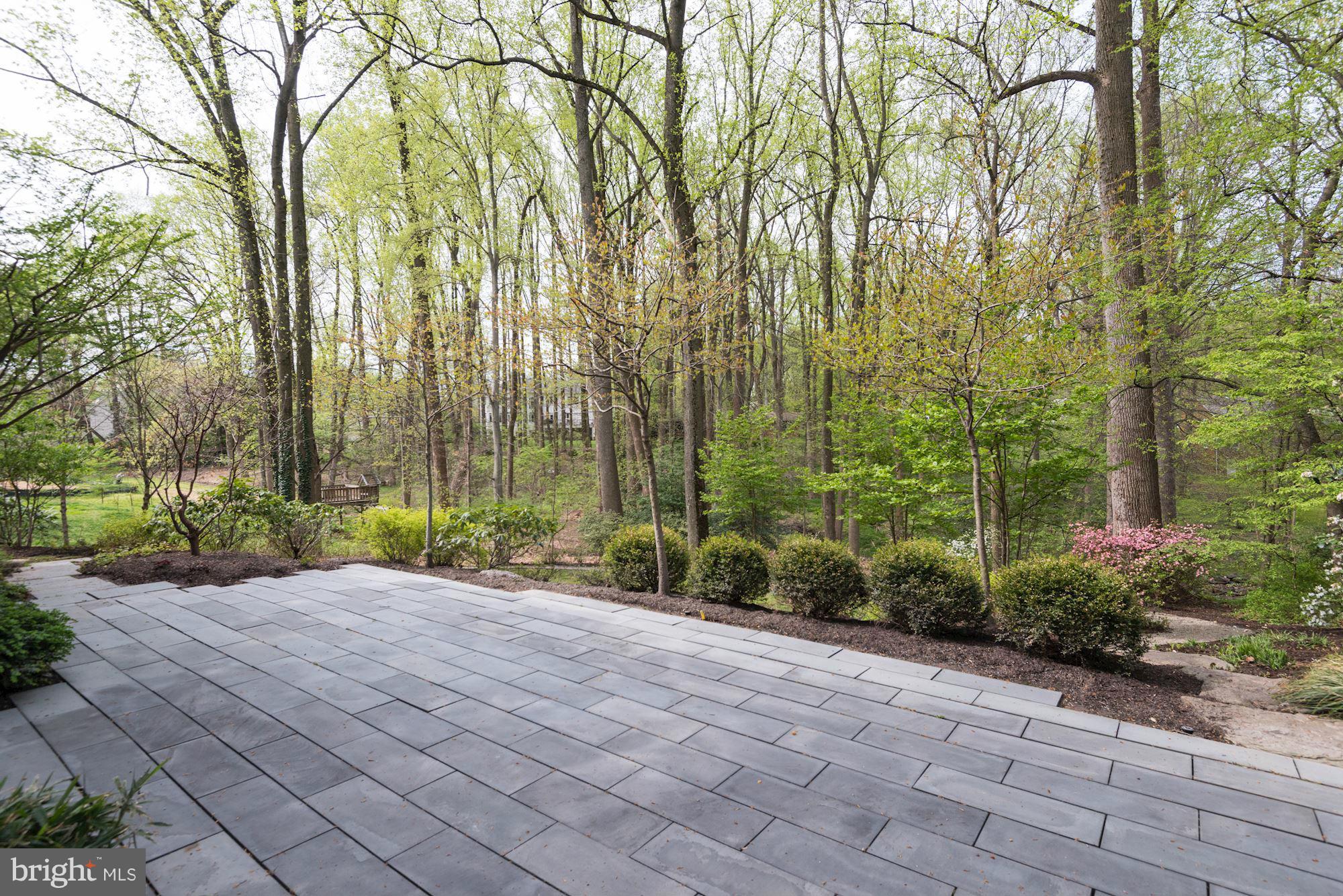 LANGLEY FOREST - Residential