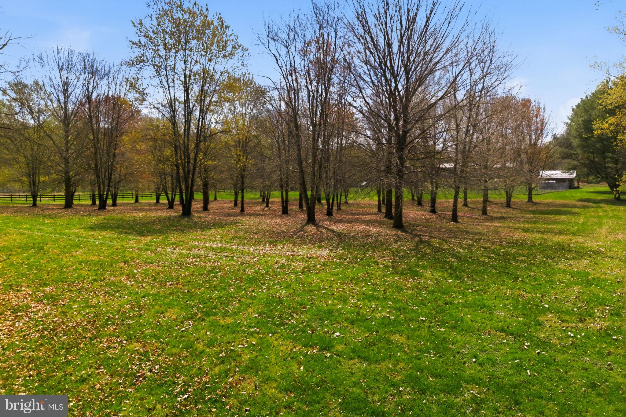 SHENANDOAH FARMS - Residential