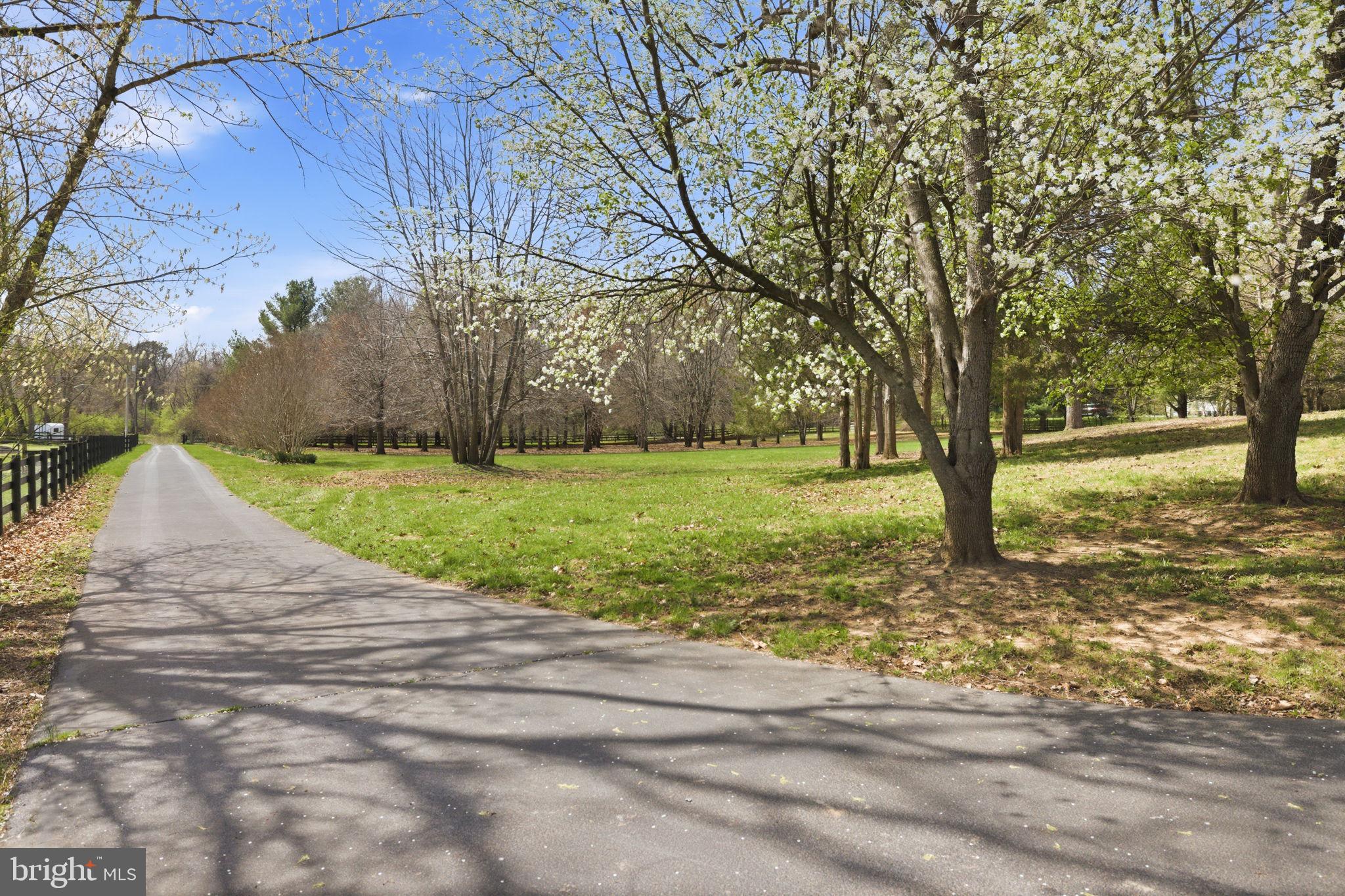SHENANDOAH FARMS - Residential