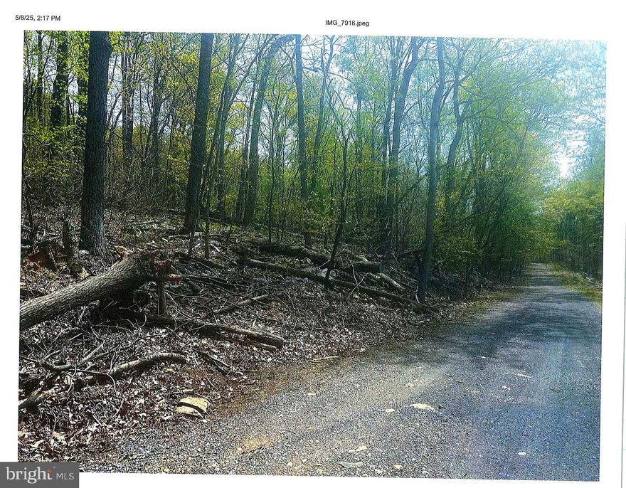 This 2+ acre lot is situated at the end of a very private mostly wooded culdesac, lots of possibilities,  Lots of room to build the home of your dreams.  Lots of wild life to see and watch.