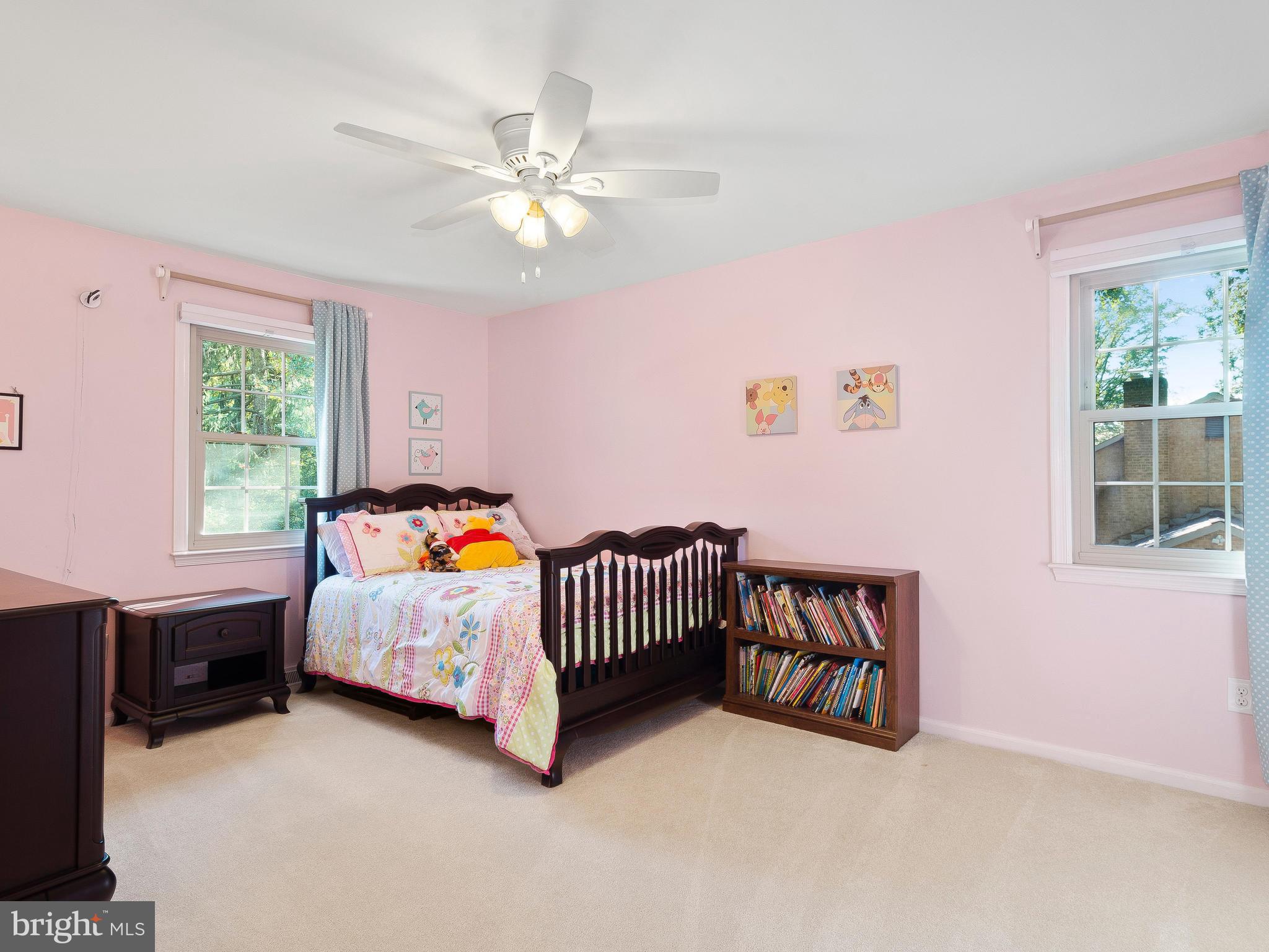 CHESTNUT HILL ESTATES - Residential