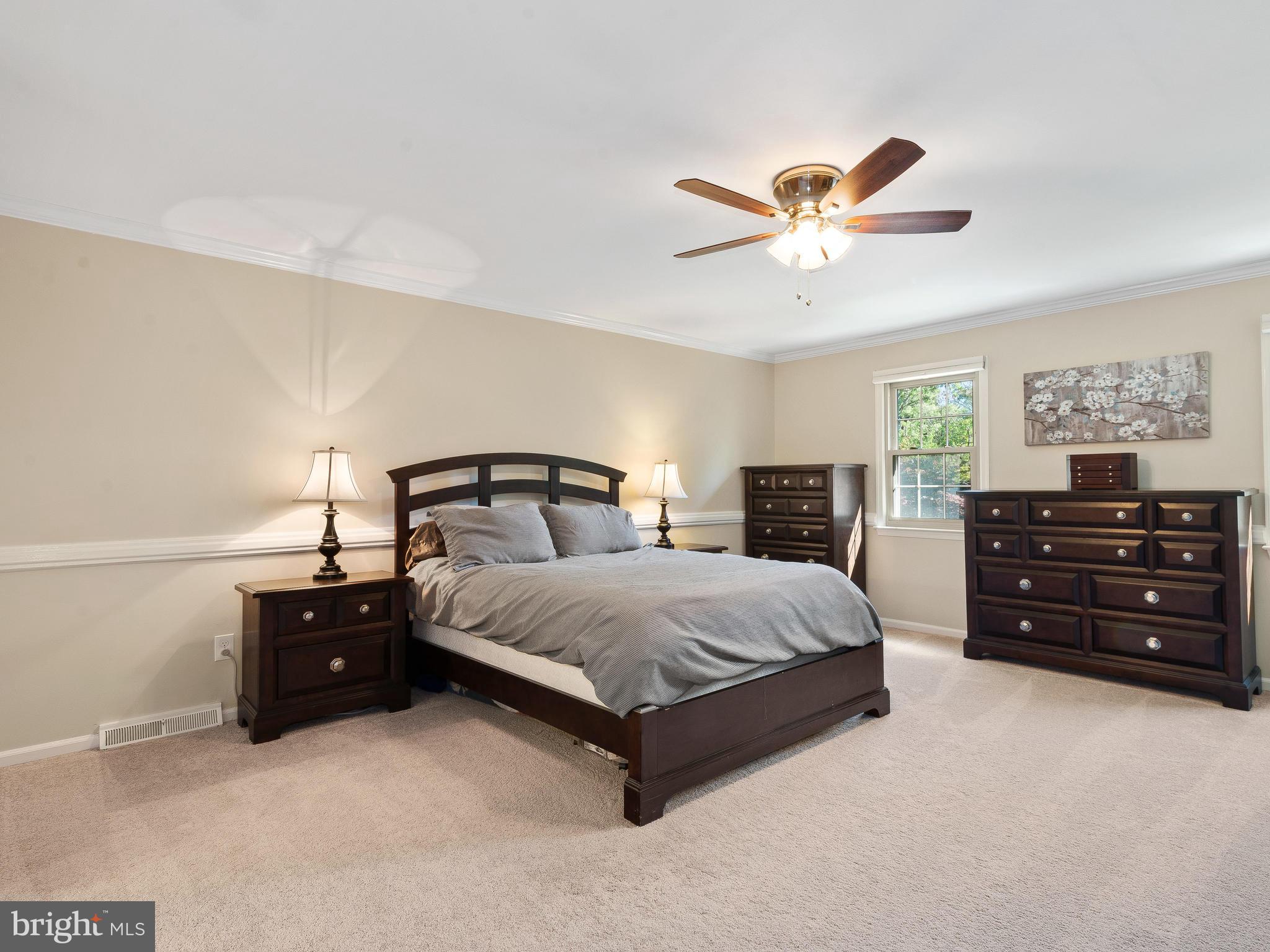 CHESTNUT HILL ESTATES - Residential