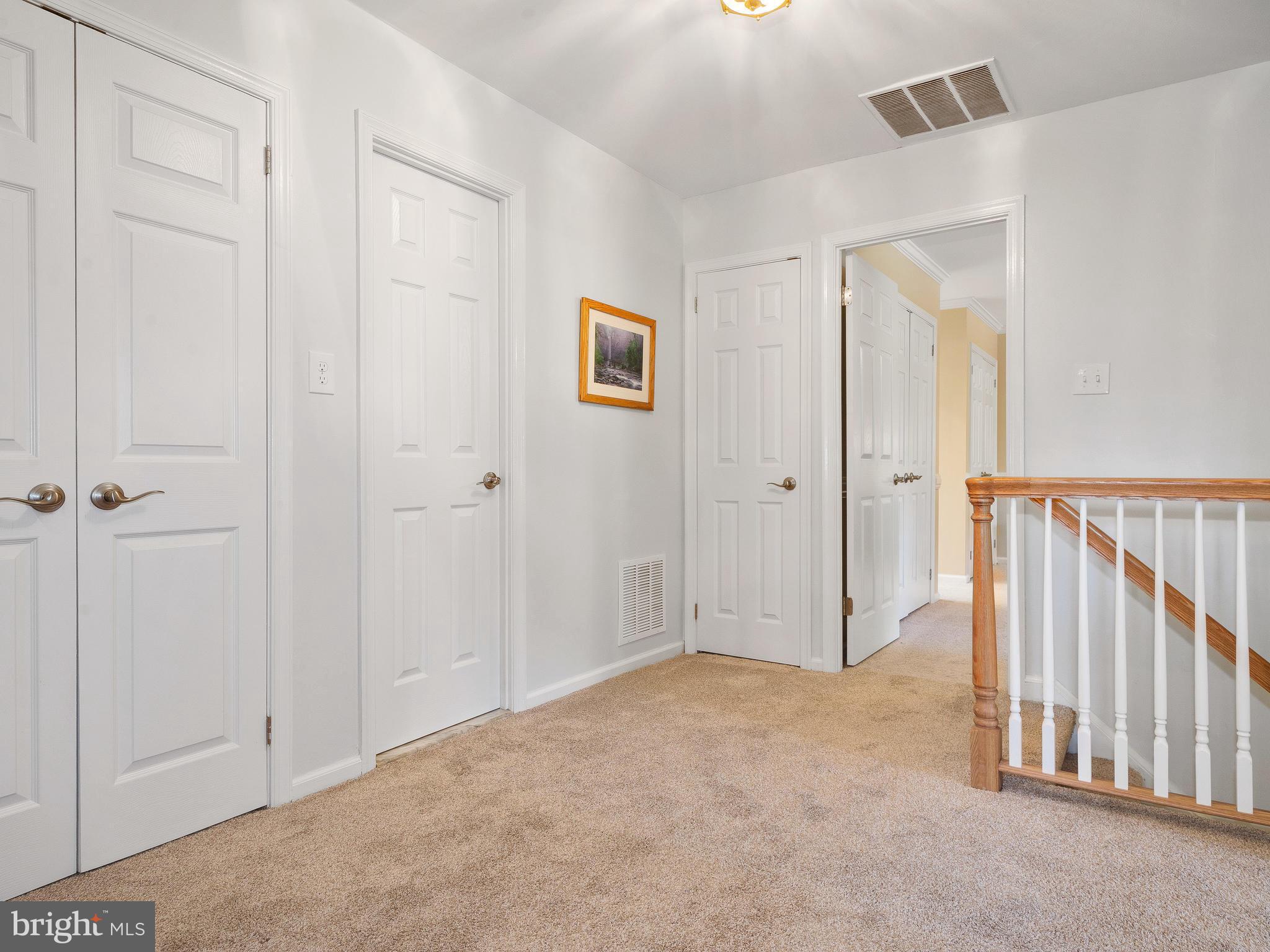 CHESTNUT HILL ESTATES - Residential