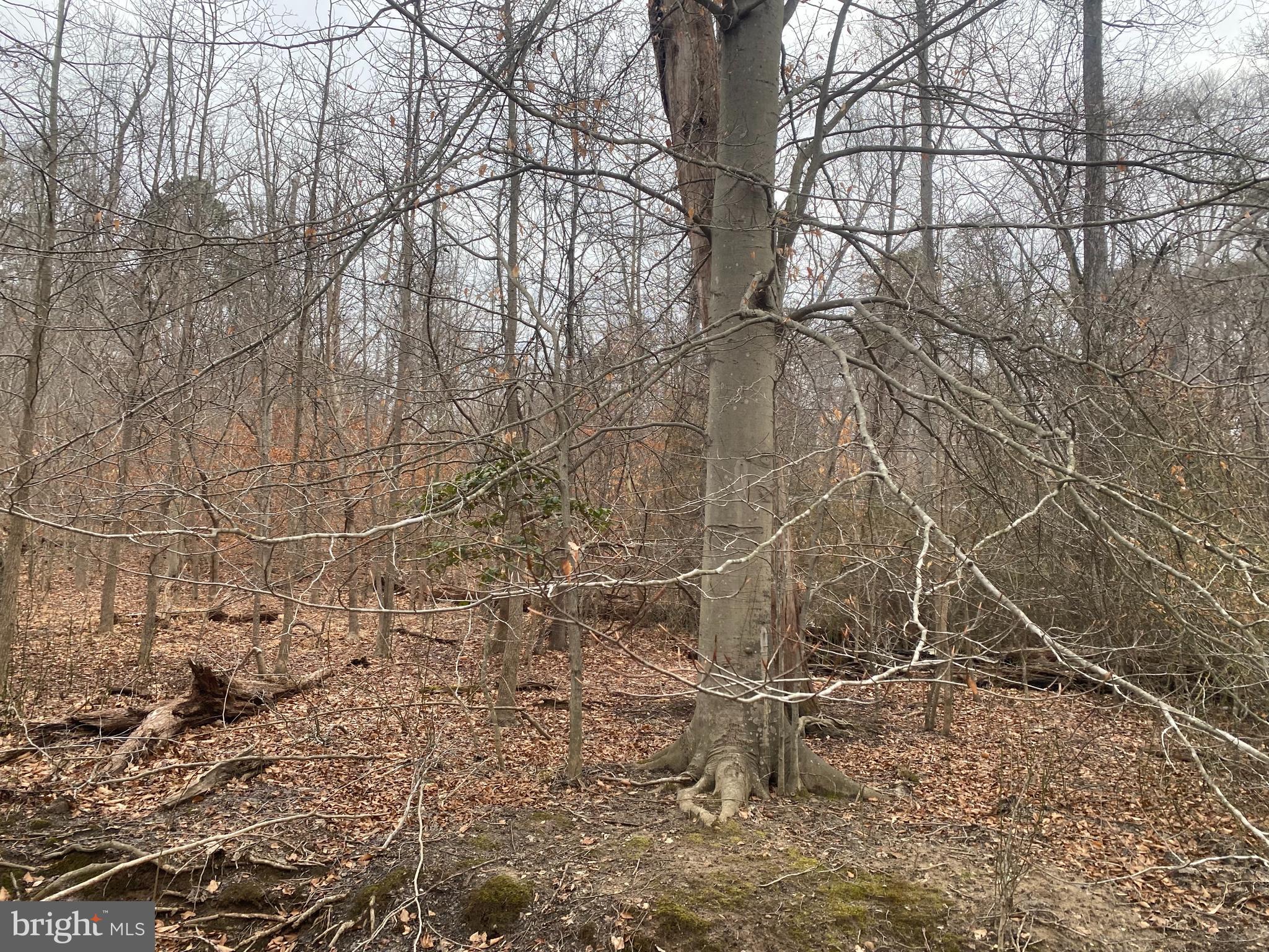 14313 JERICHO PARK ROAD