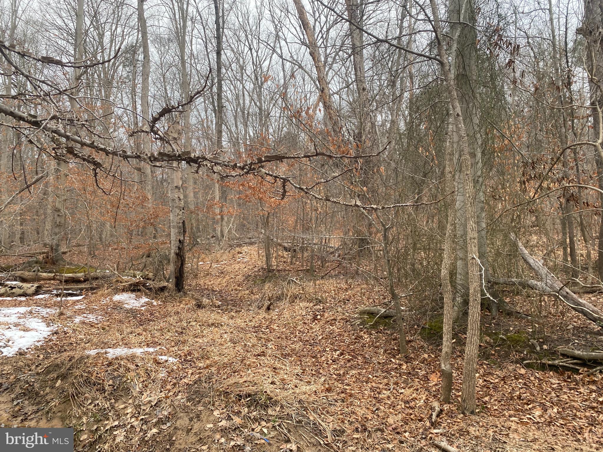 14313 JERICHO PARK ROAD