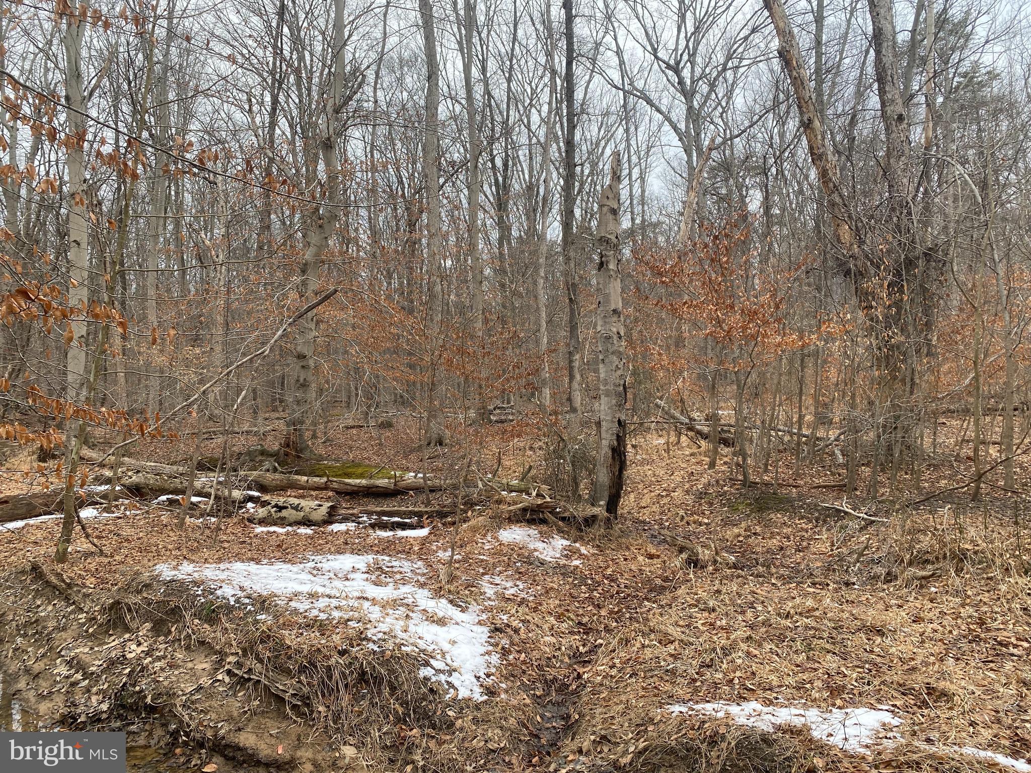 14313 JERICHO PARK ROAD