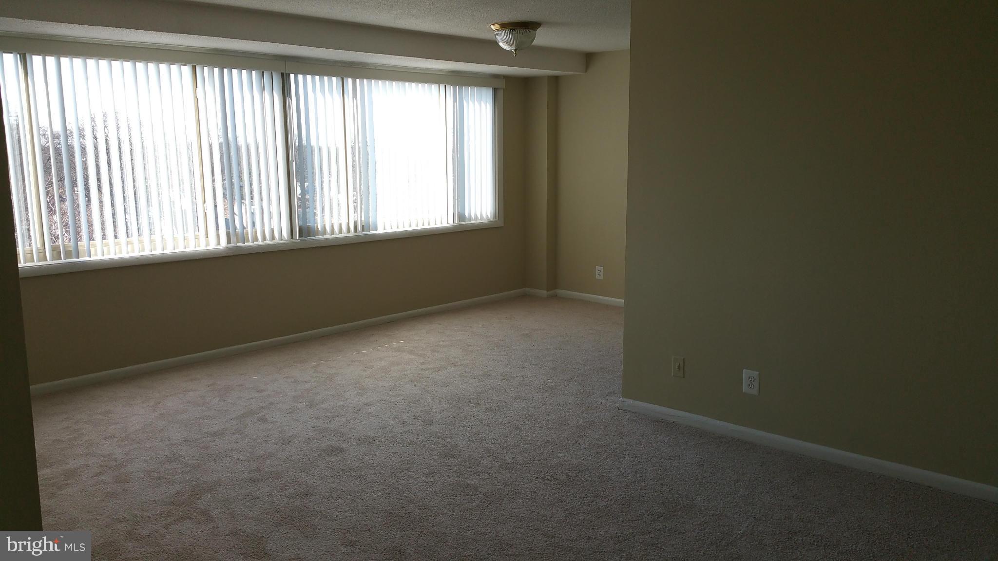 THE OGLETHORPE - Residential Lease