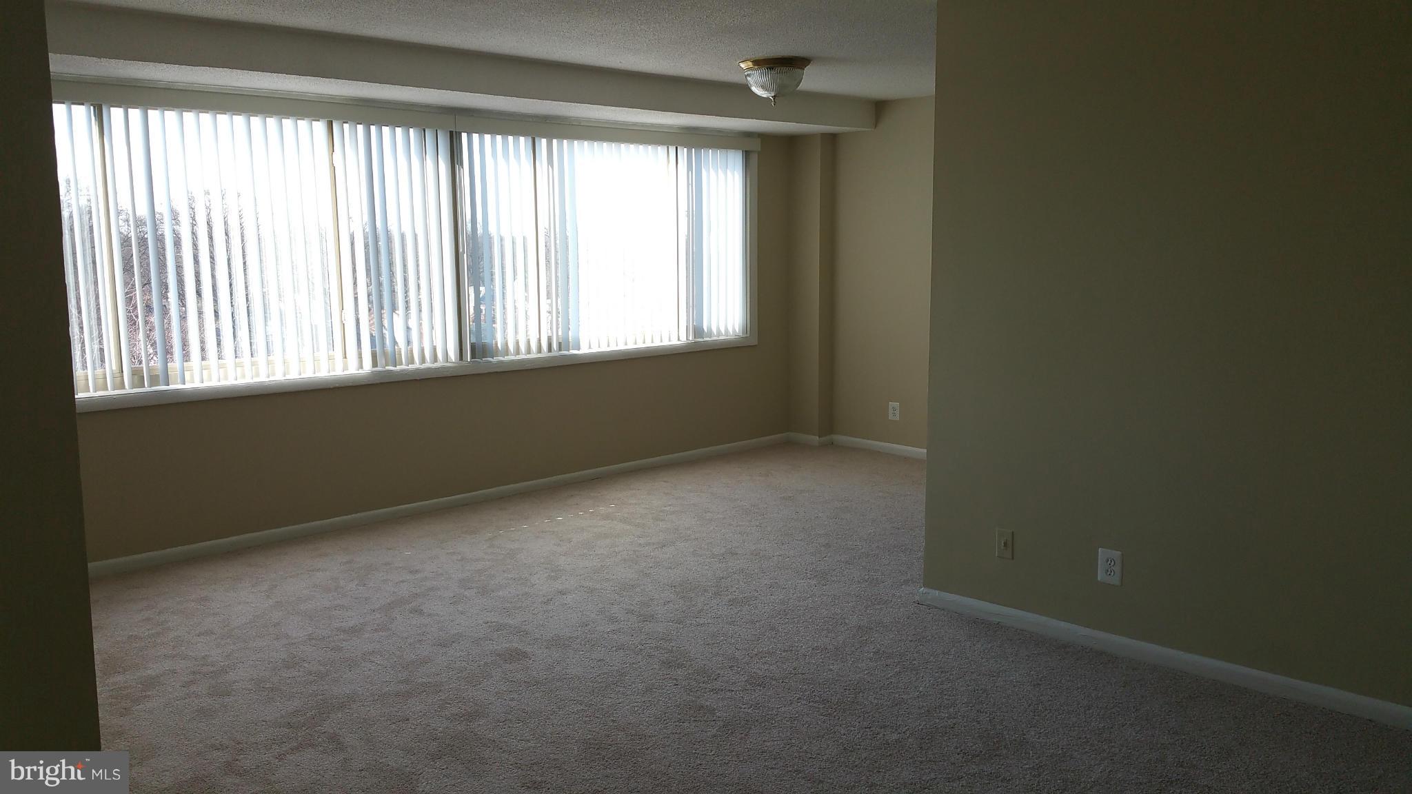 THE OGLETHORPE - Residential Lease