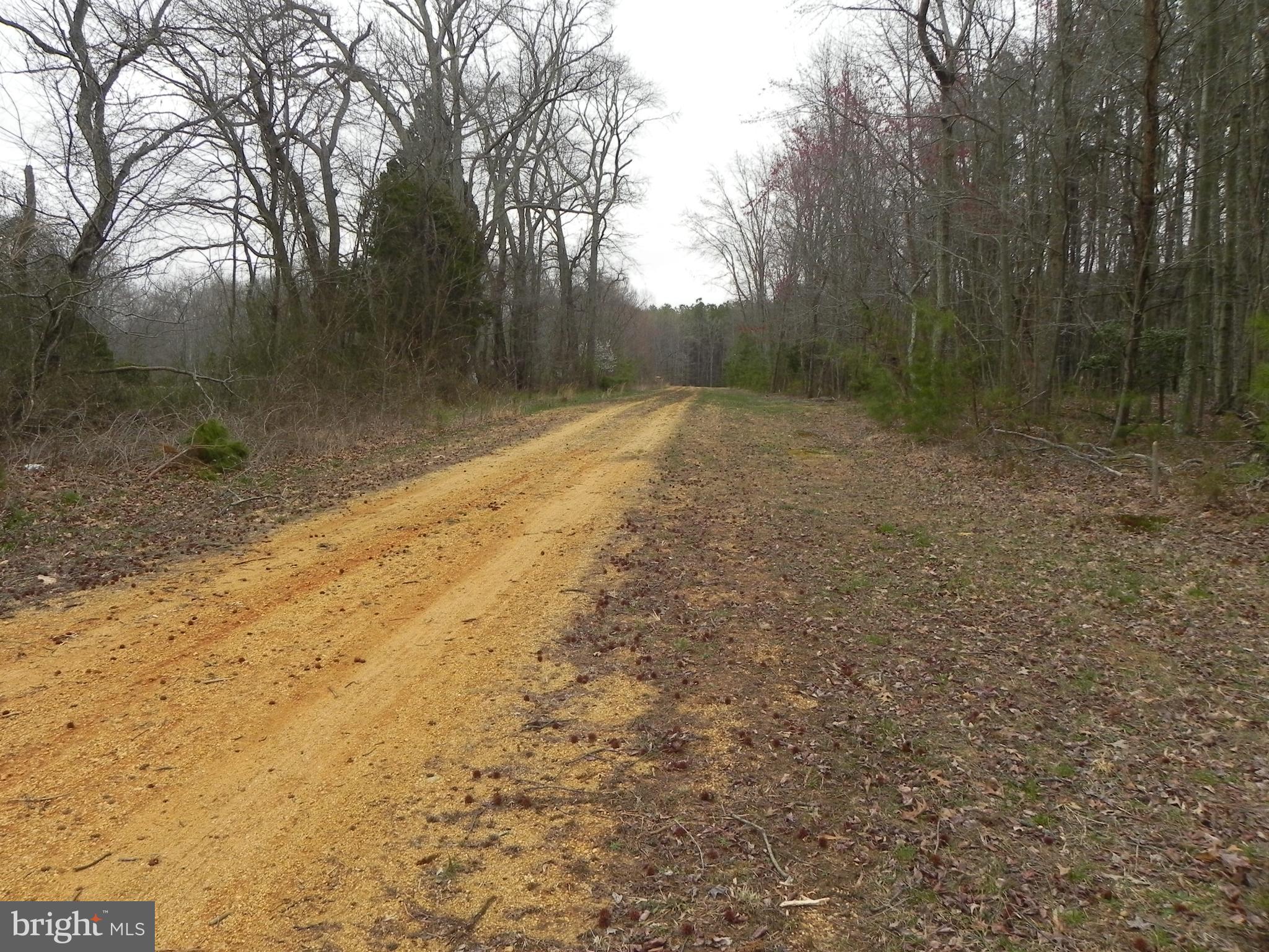TOMAKOKIN CREEK FARMSTEAD - Land